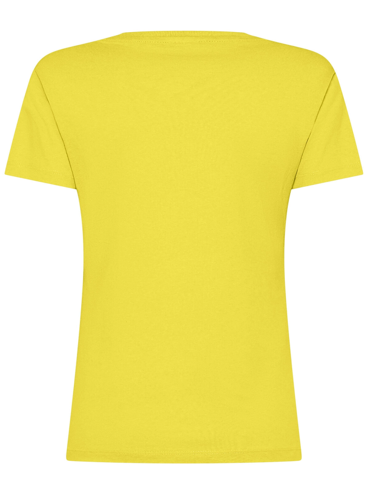 Immagine T-shirt Evolution Donna