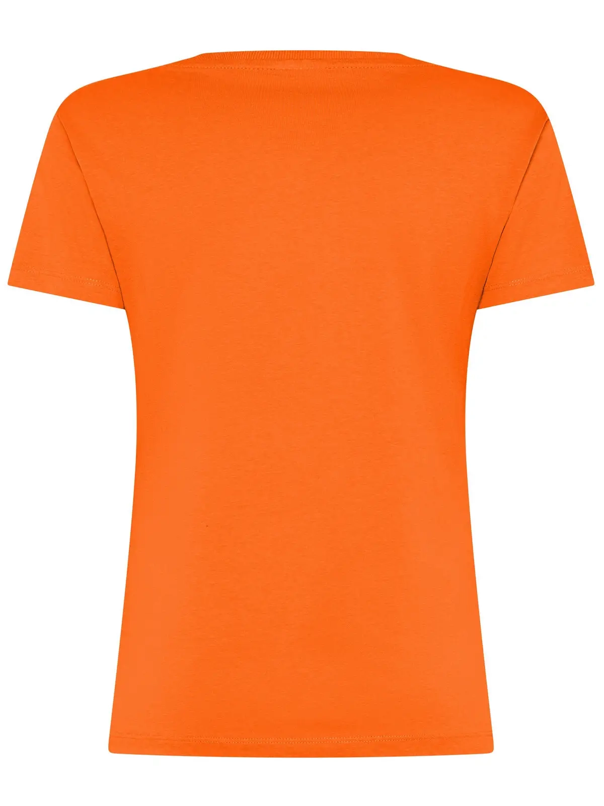 Immagine t-shirt donna Evolution