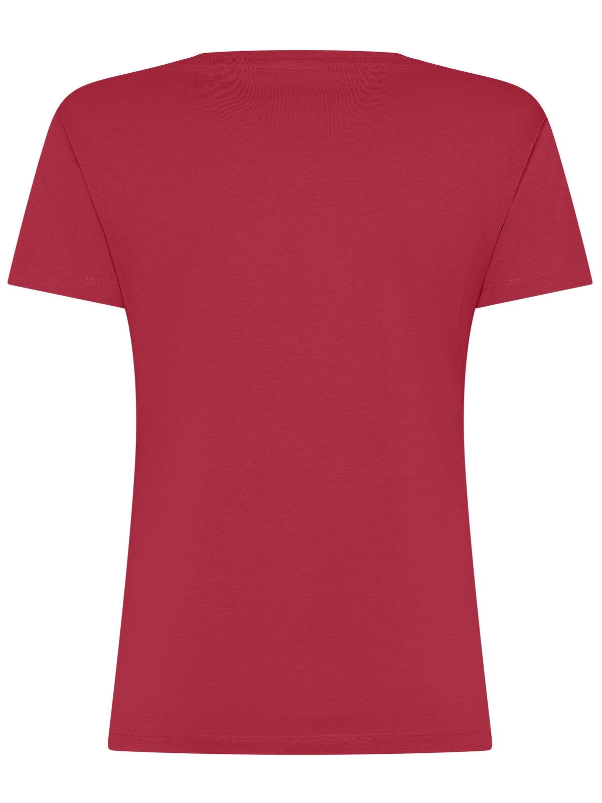 Immagine T-shirt Evolution Donna