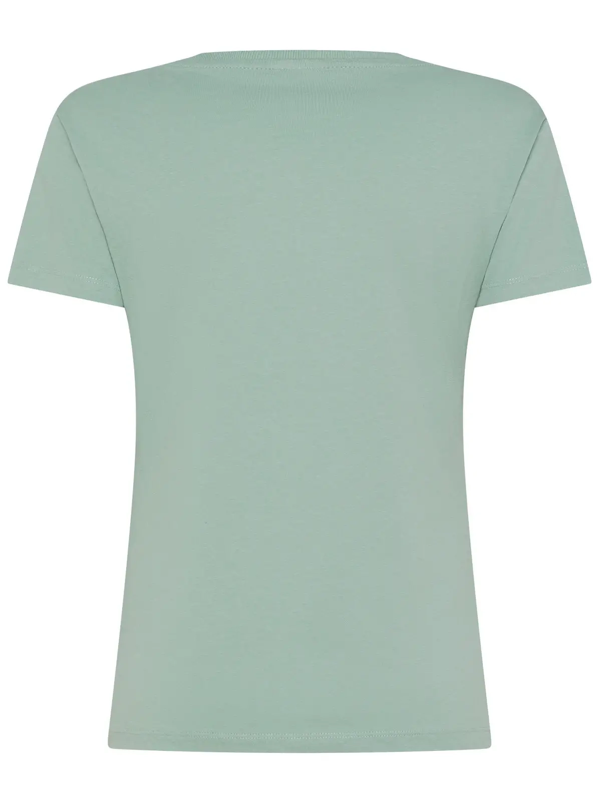 Immagine t-shirt donna Evolution