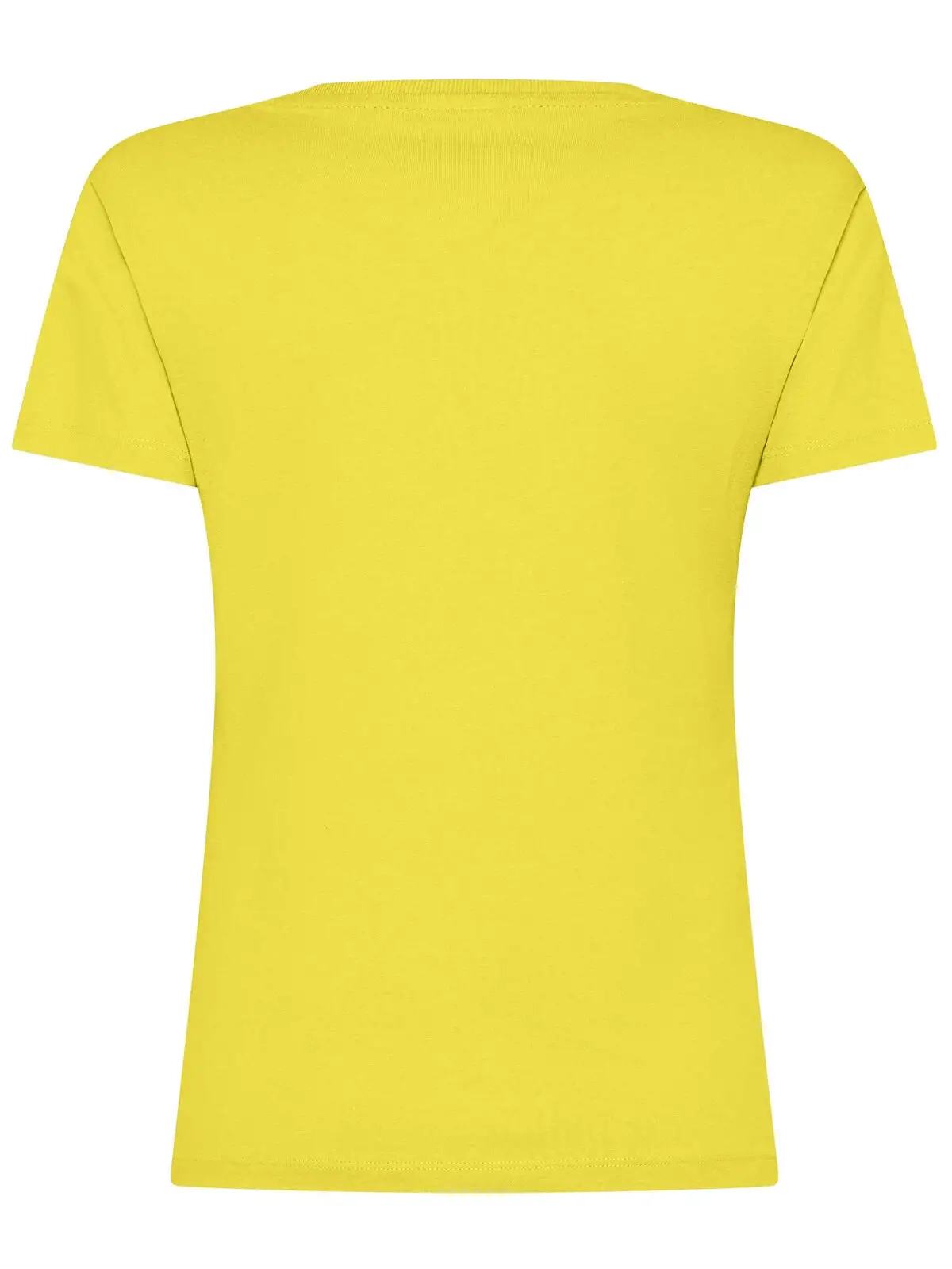 Immagine T-shirt Evolution Donna