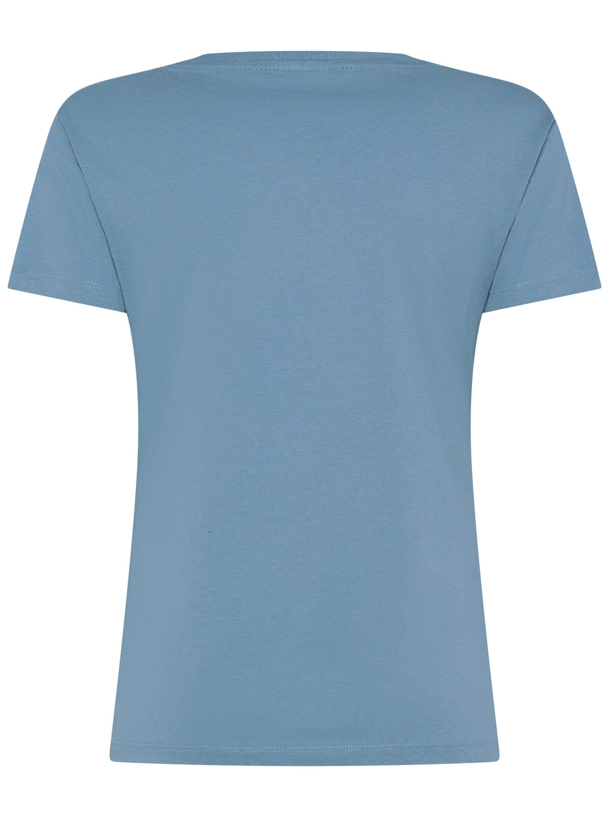 Immagine T-shirt Evolution Donna