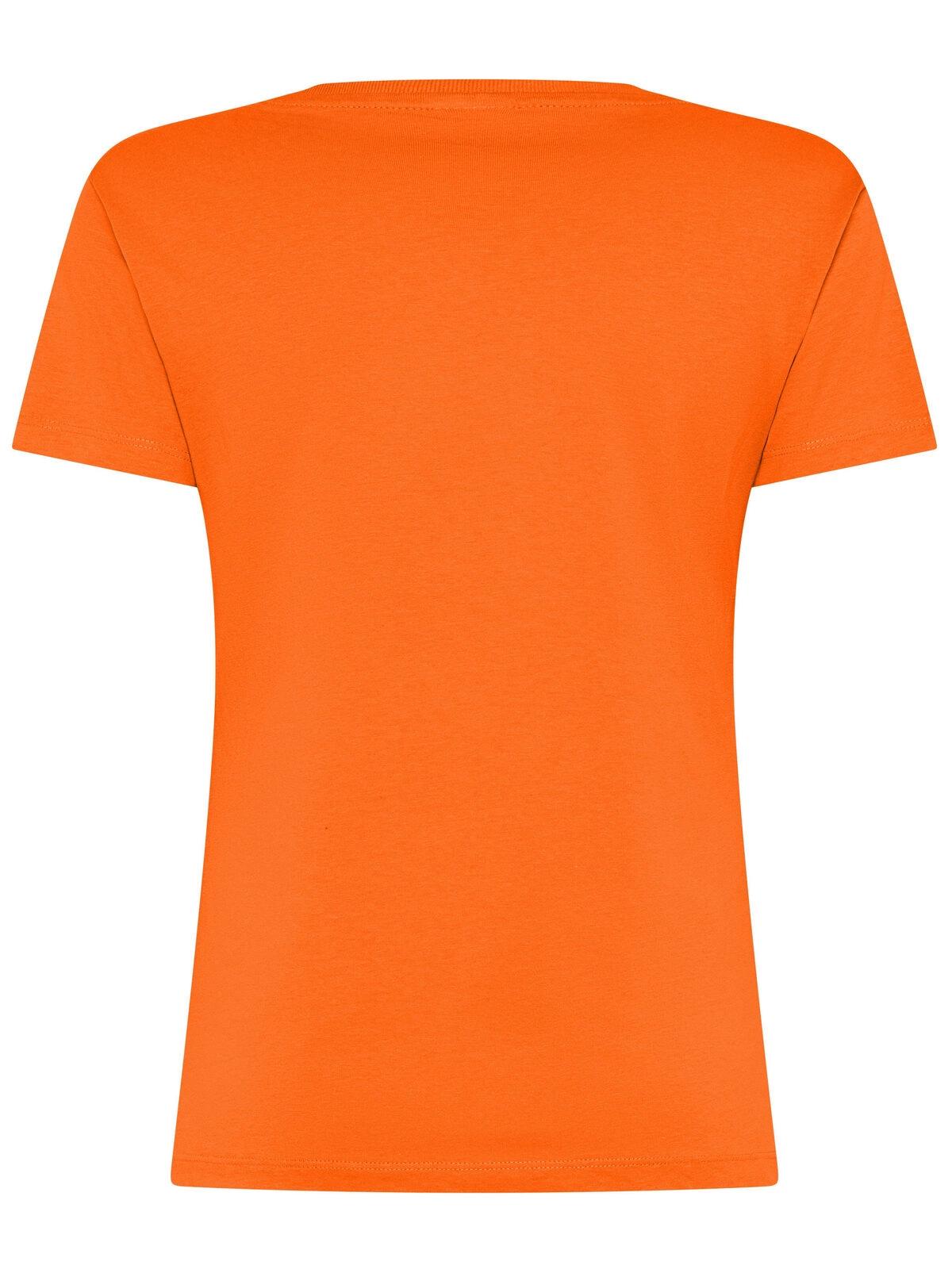 Immagine T-shirt Evolution Donna