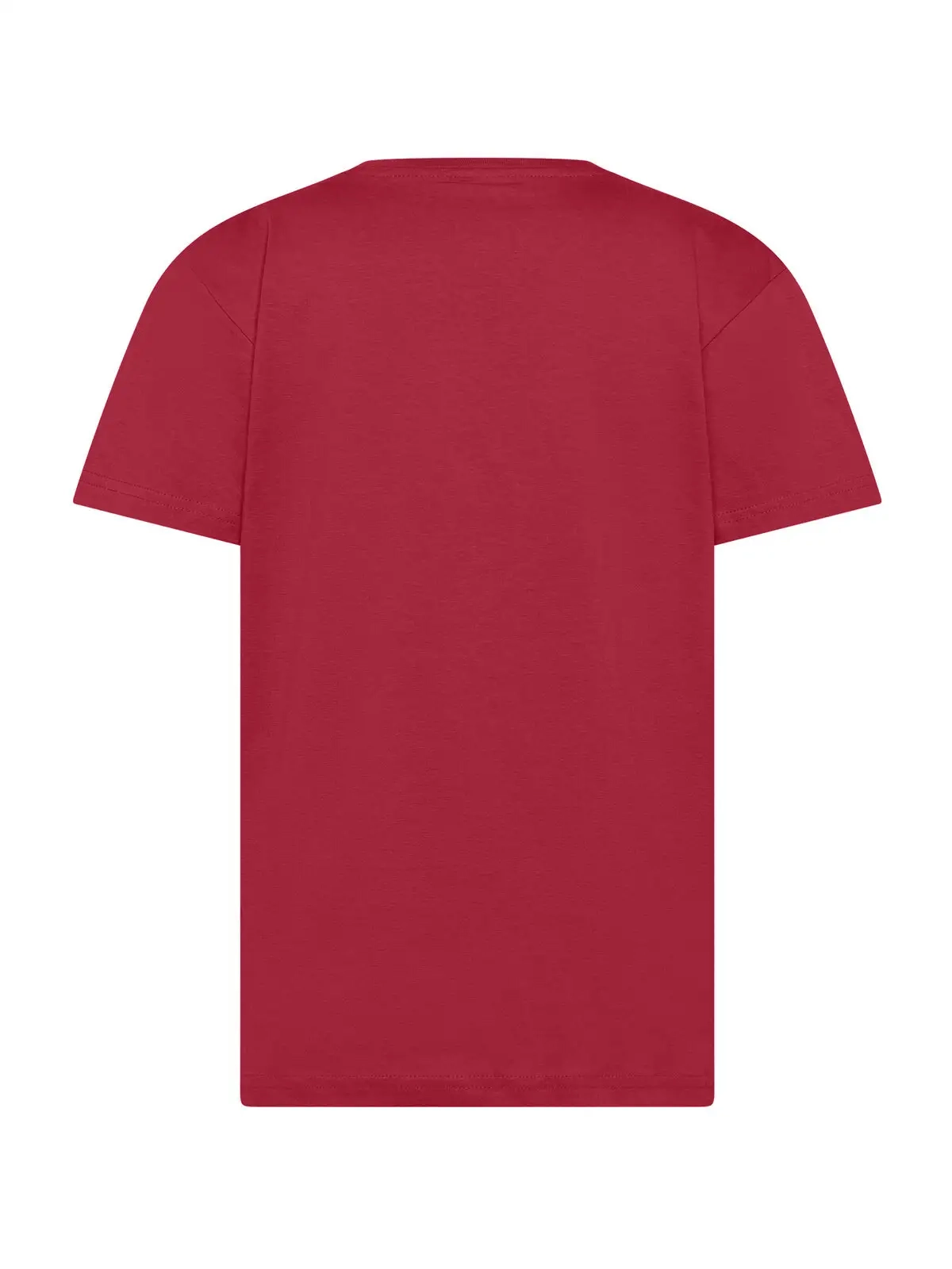 Immagine T-shirt bimbo unisex Evolution Kids