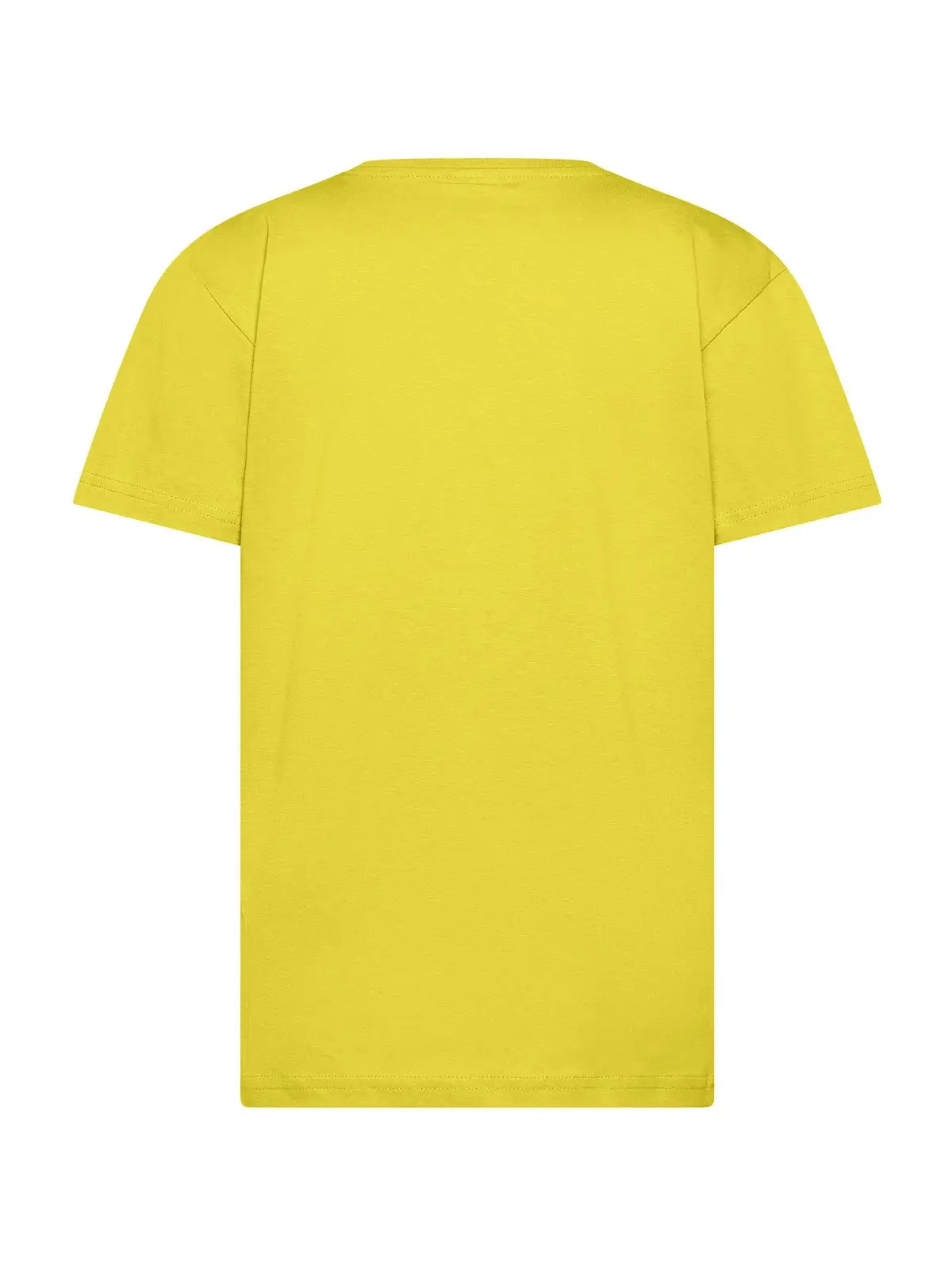 Immagine T-shirt bimbo unisex Evolution Kids