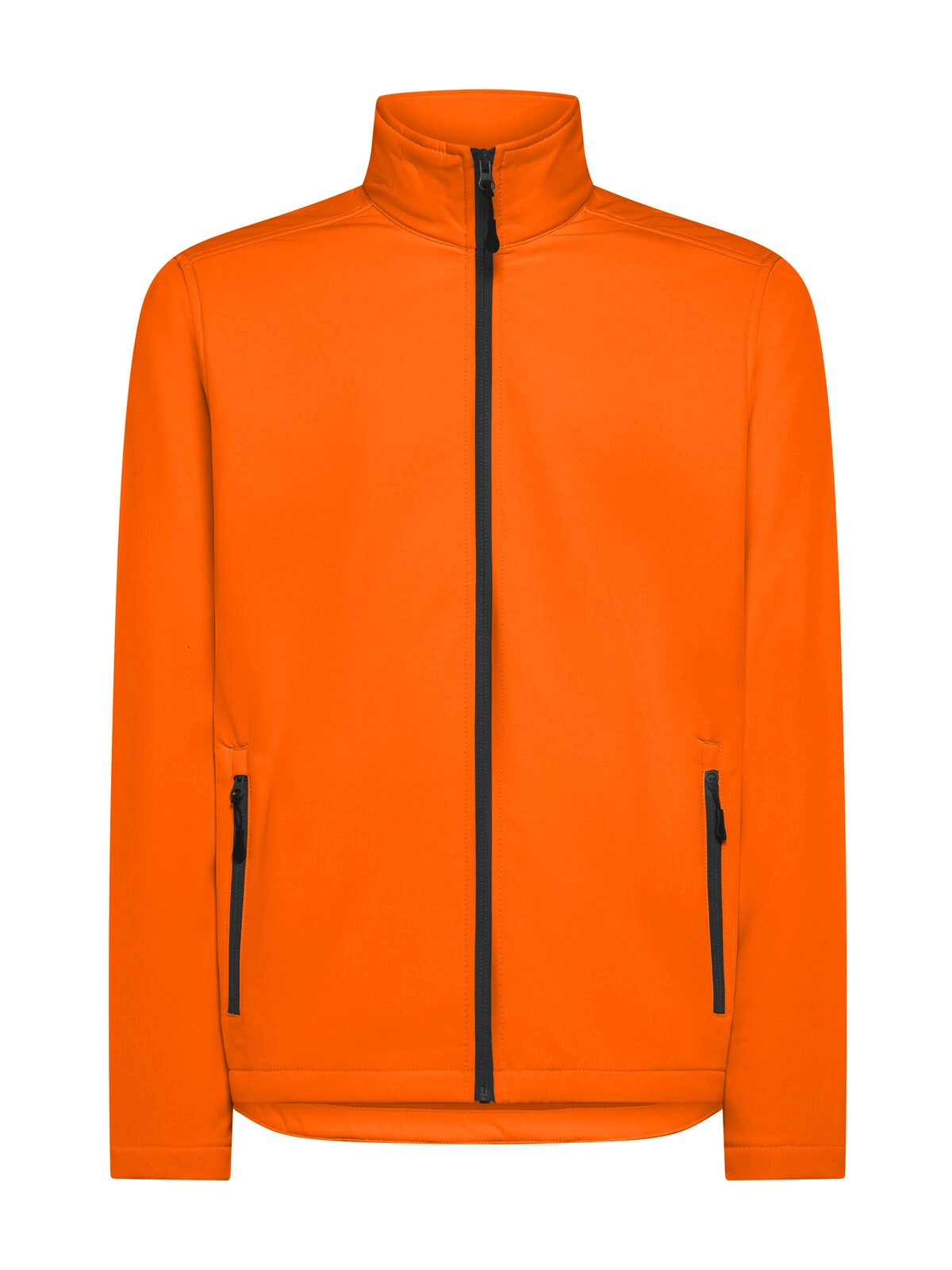Immagine Softshell - Visitor