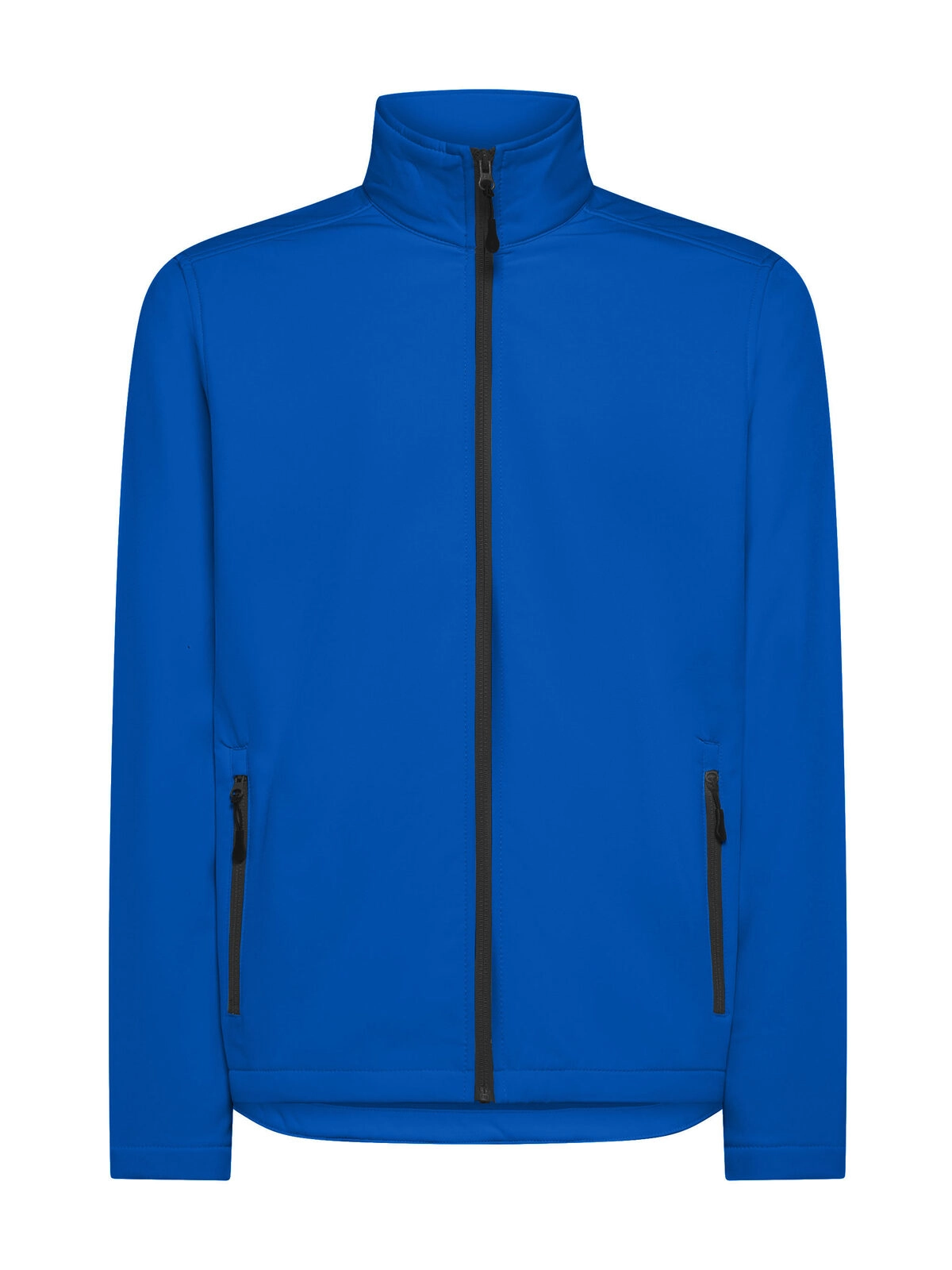 Immagine Softshell - Visitor