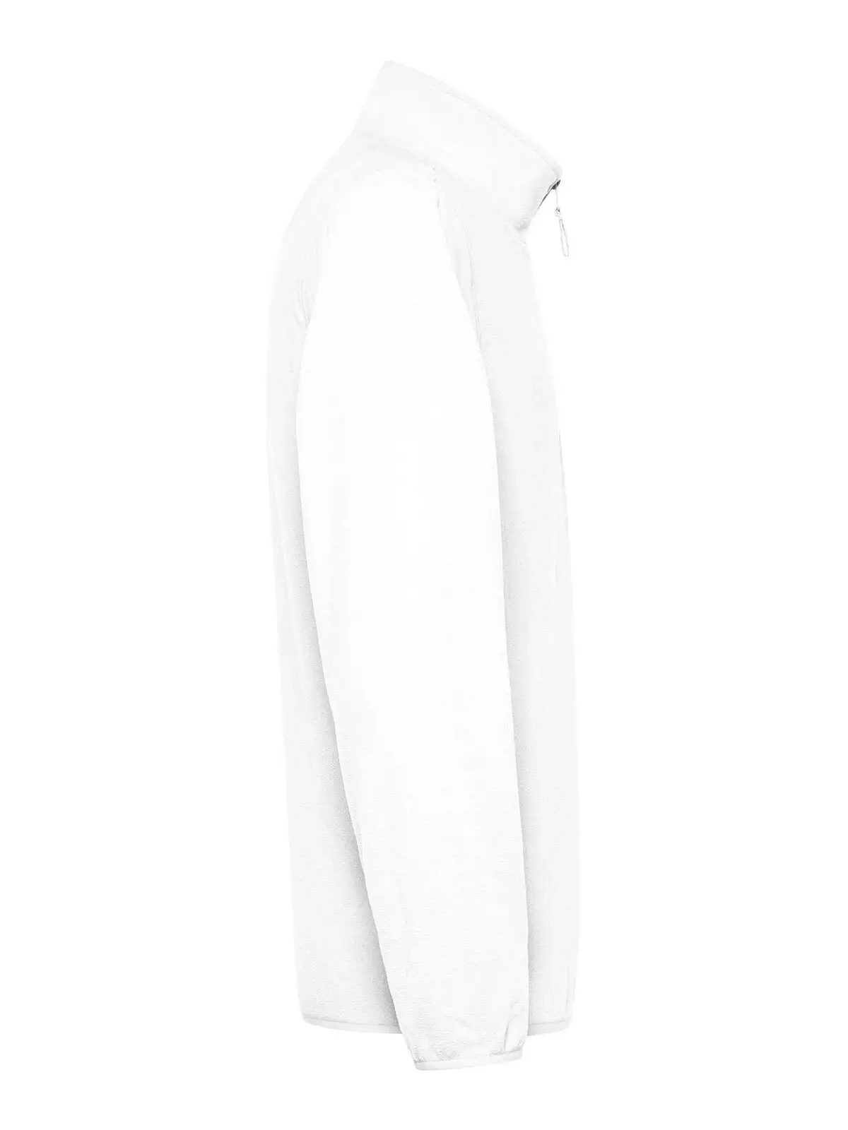 Immagine Micropile Polaris