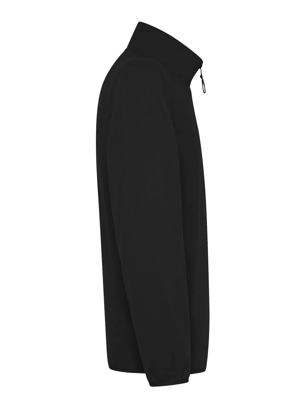 Immagine Micropile Polaris