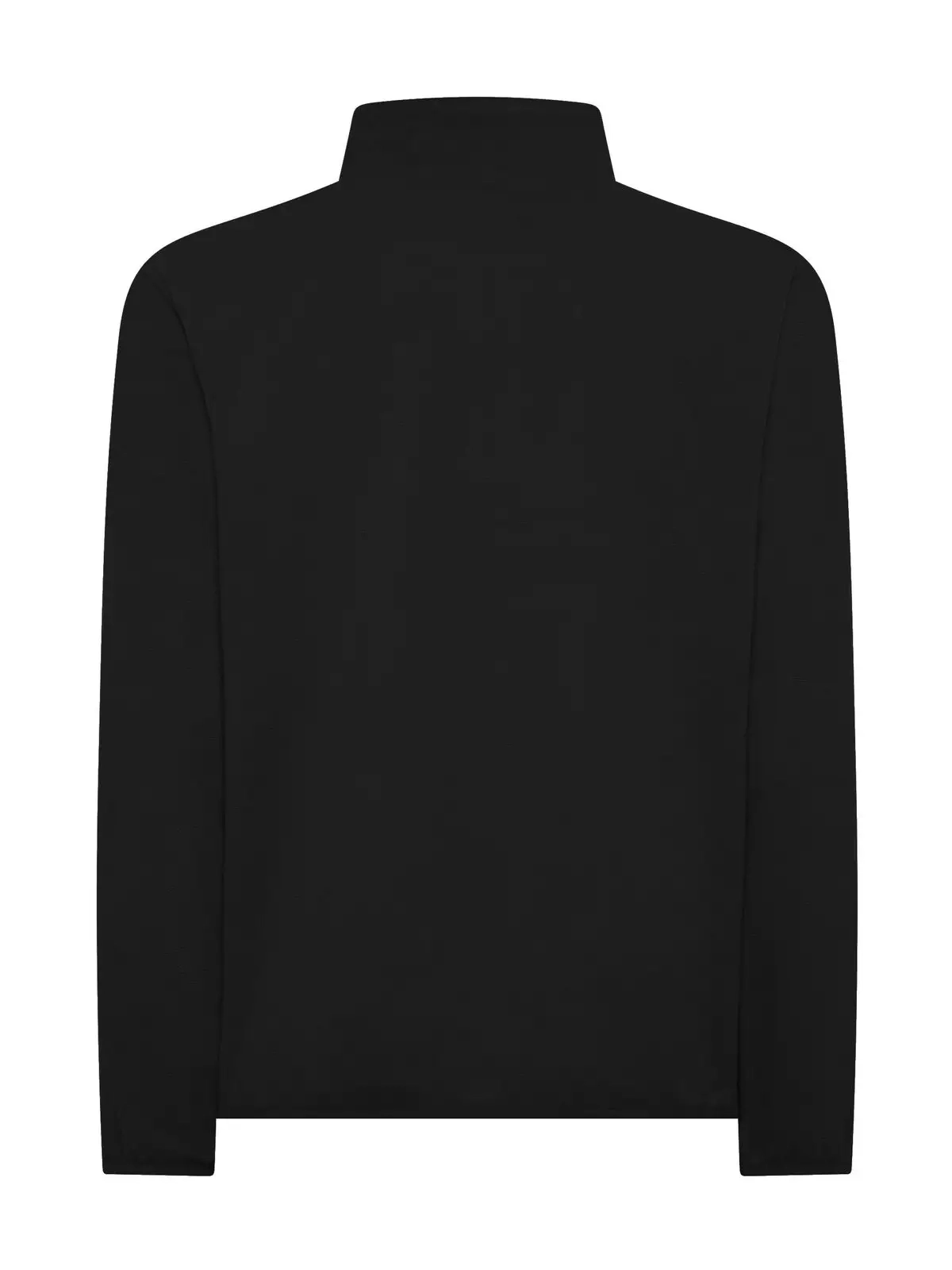 Immagine Micropile Polaris