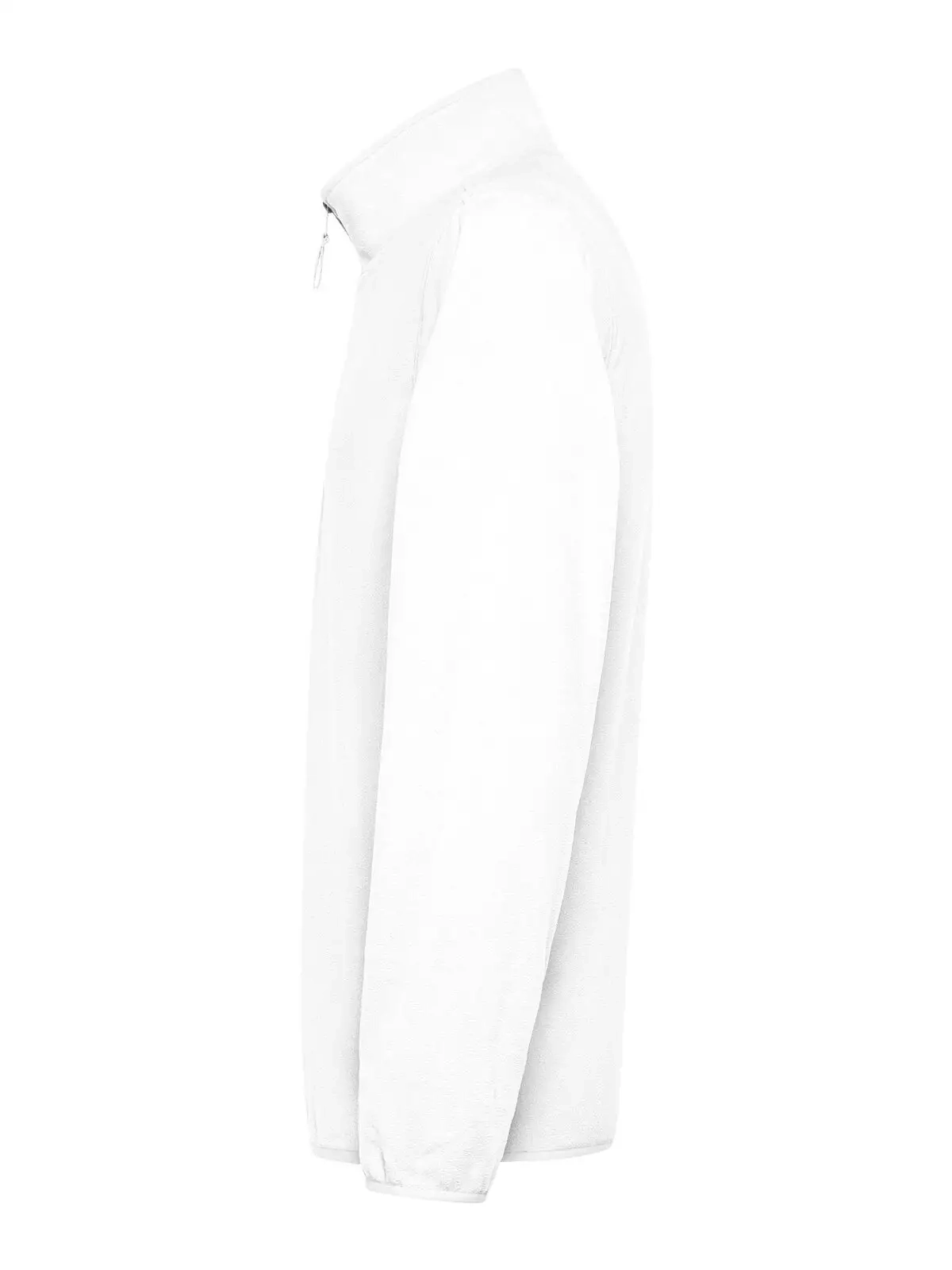 Immagine Micropile Polaris