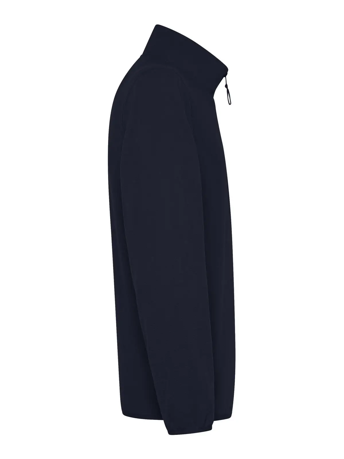 Immagine Micropile Polaris