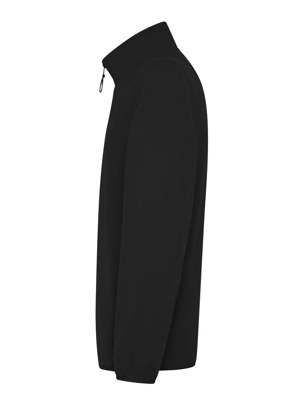 Immagine Micropile Polaris