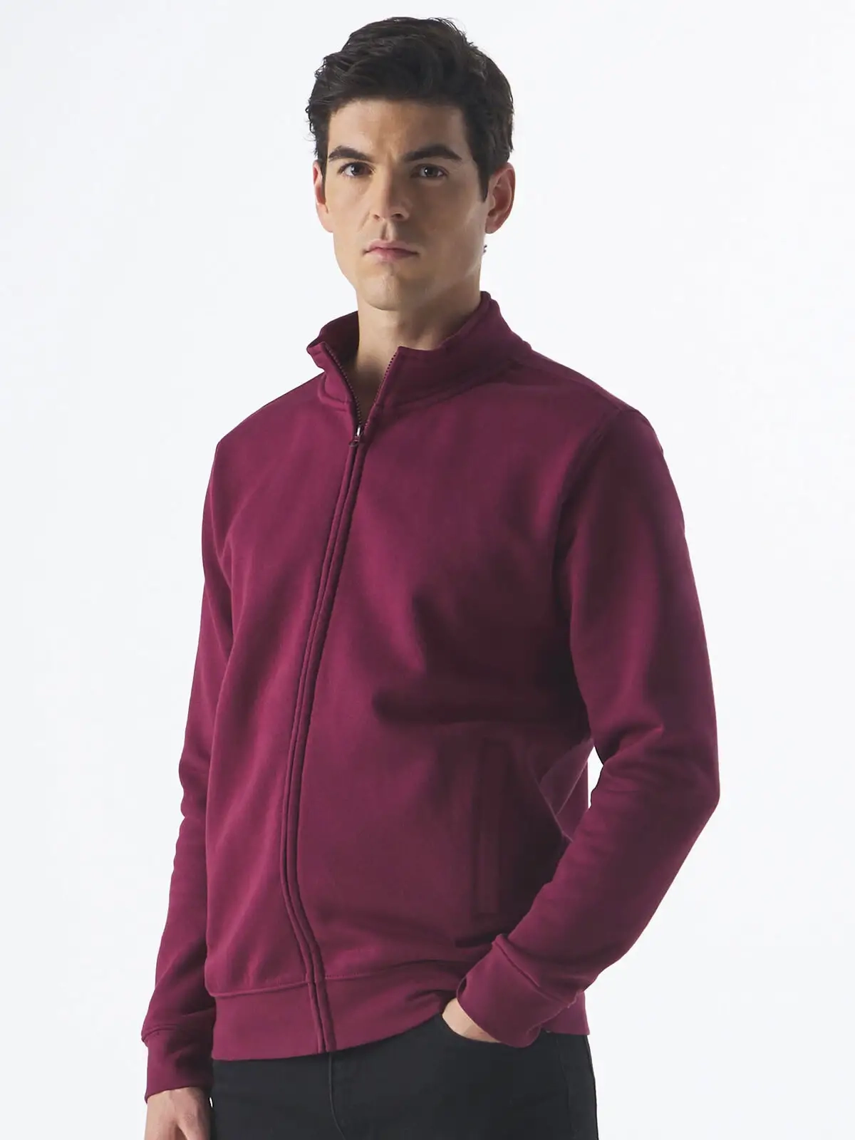 Immagine Felpa jacket - Harlem