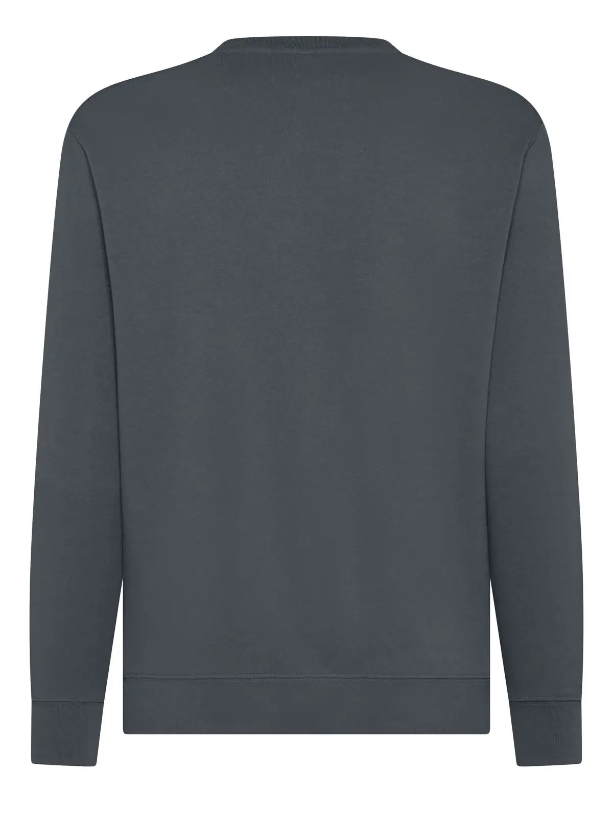 Immagine Felpa girocollo - Atlas