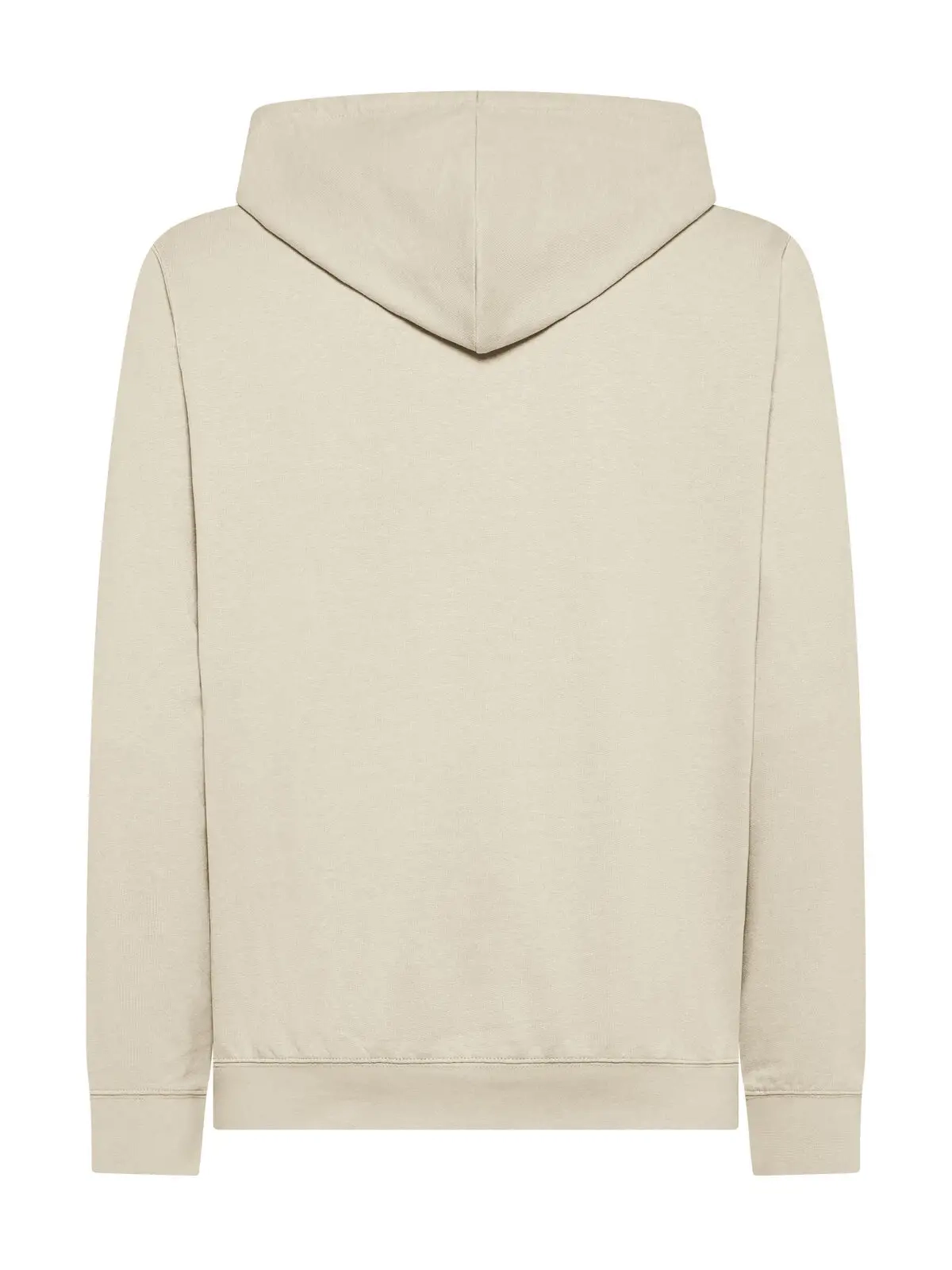 Immagine Felpa cappuccio unisex Terry Hooded