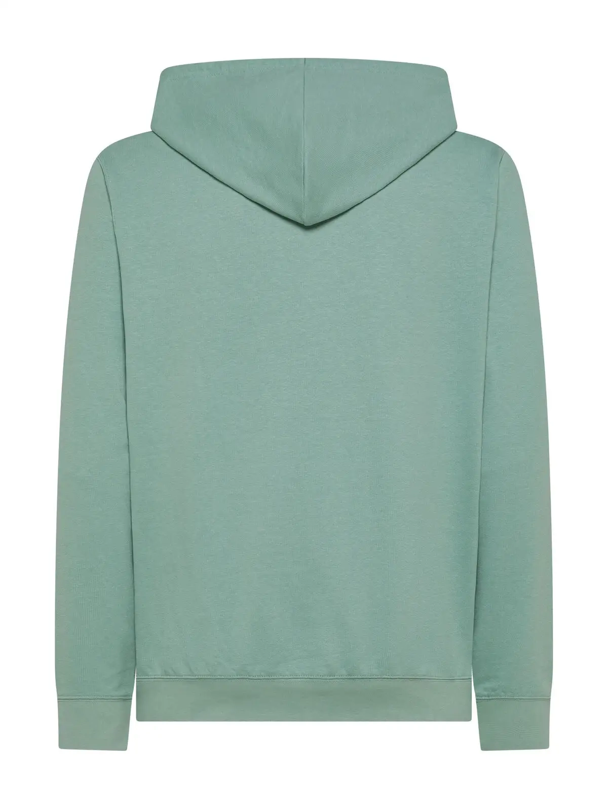 Immagine Felpa cappuccio unisex Terry Hooded