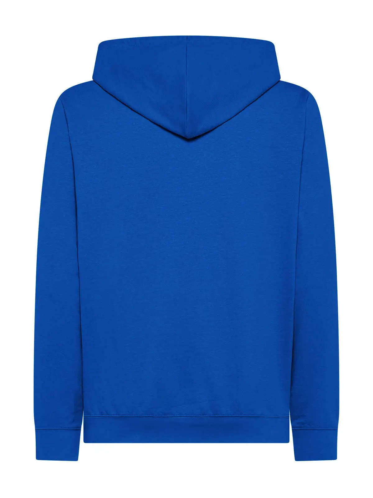 Immagine Felpa cappuccio unisex Terry Hooded