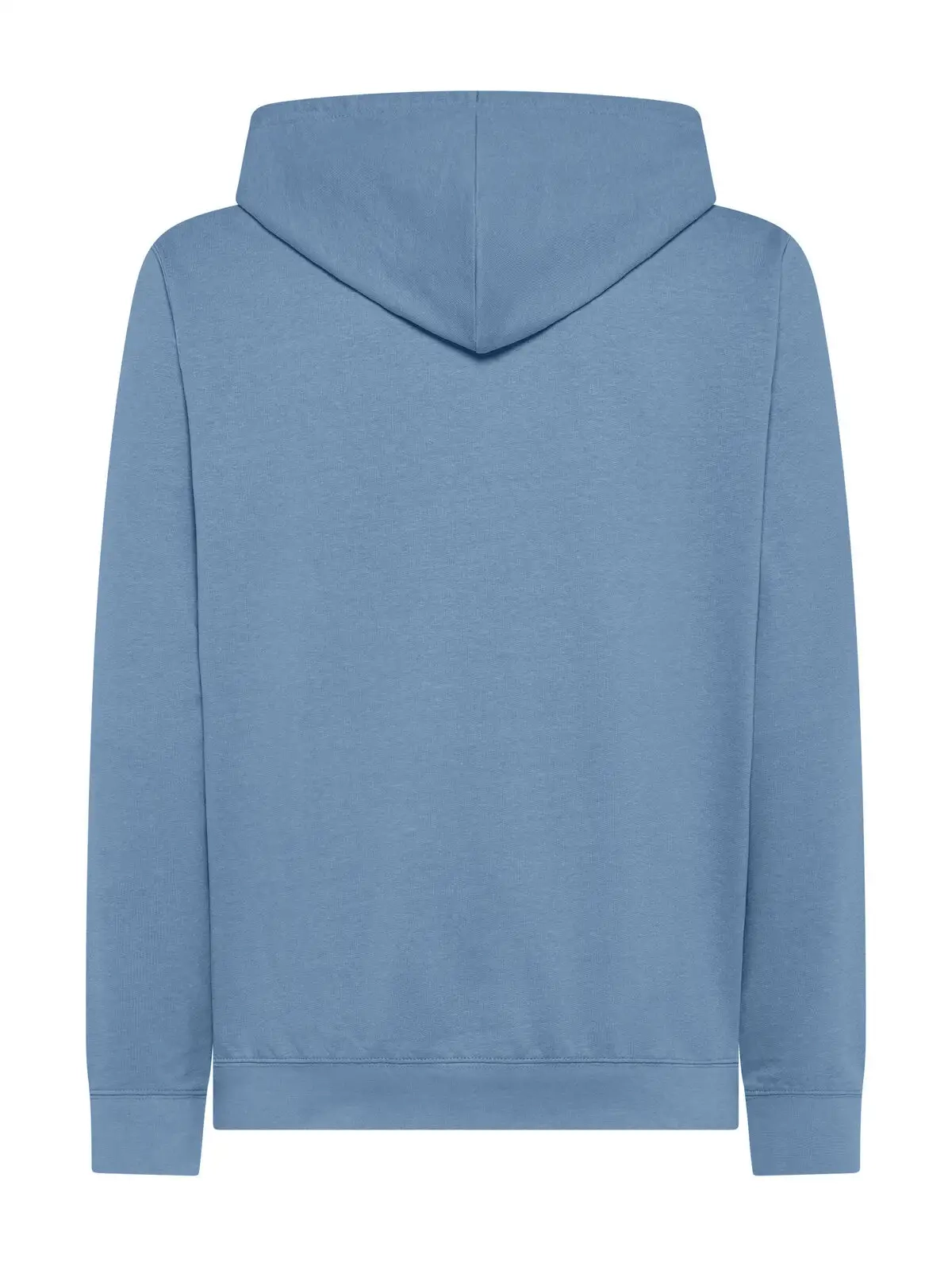 Immagine Felpa cappuccio unisex Terry Hooded