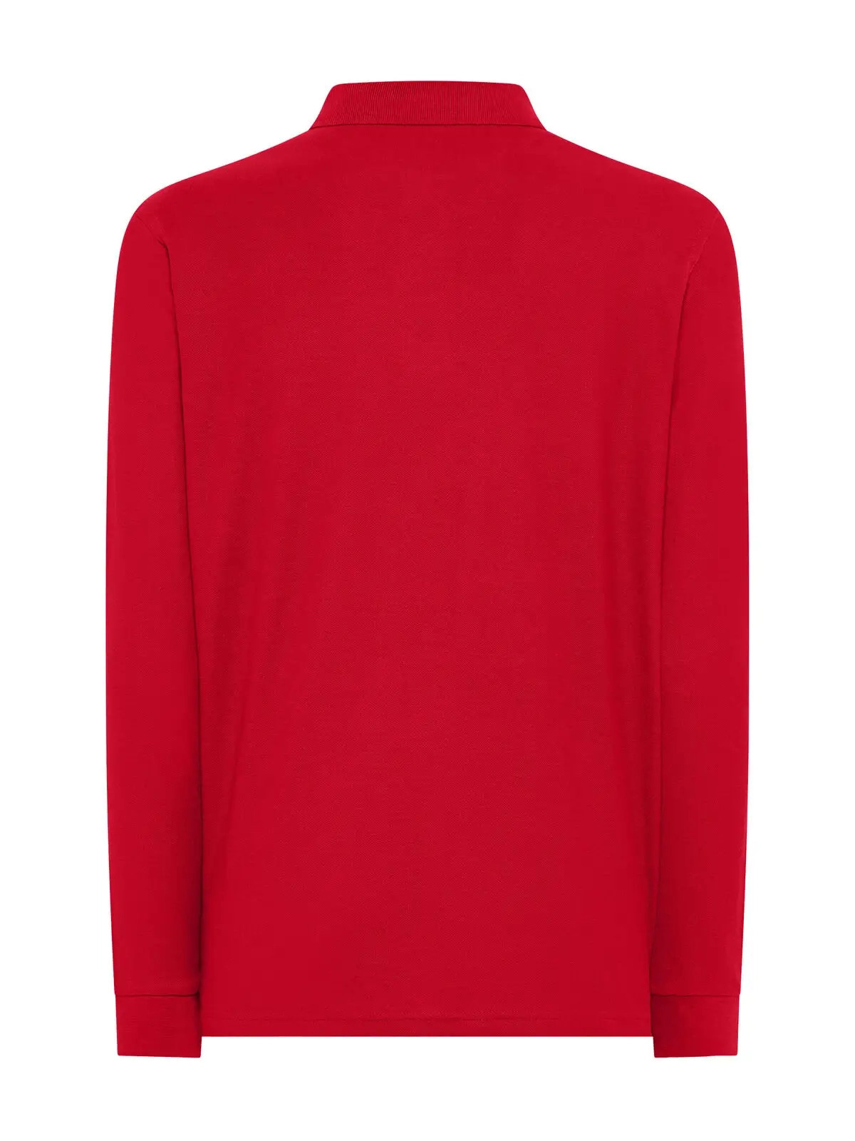 Immagine Evolution Polo LS