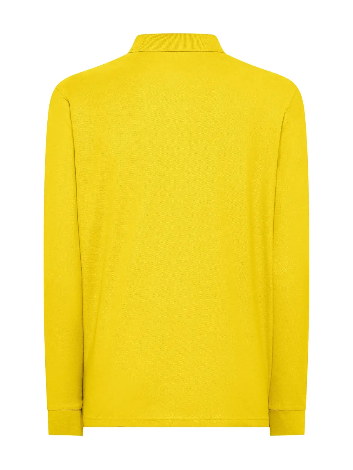 Immagine Evolution Polo LS