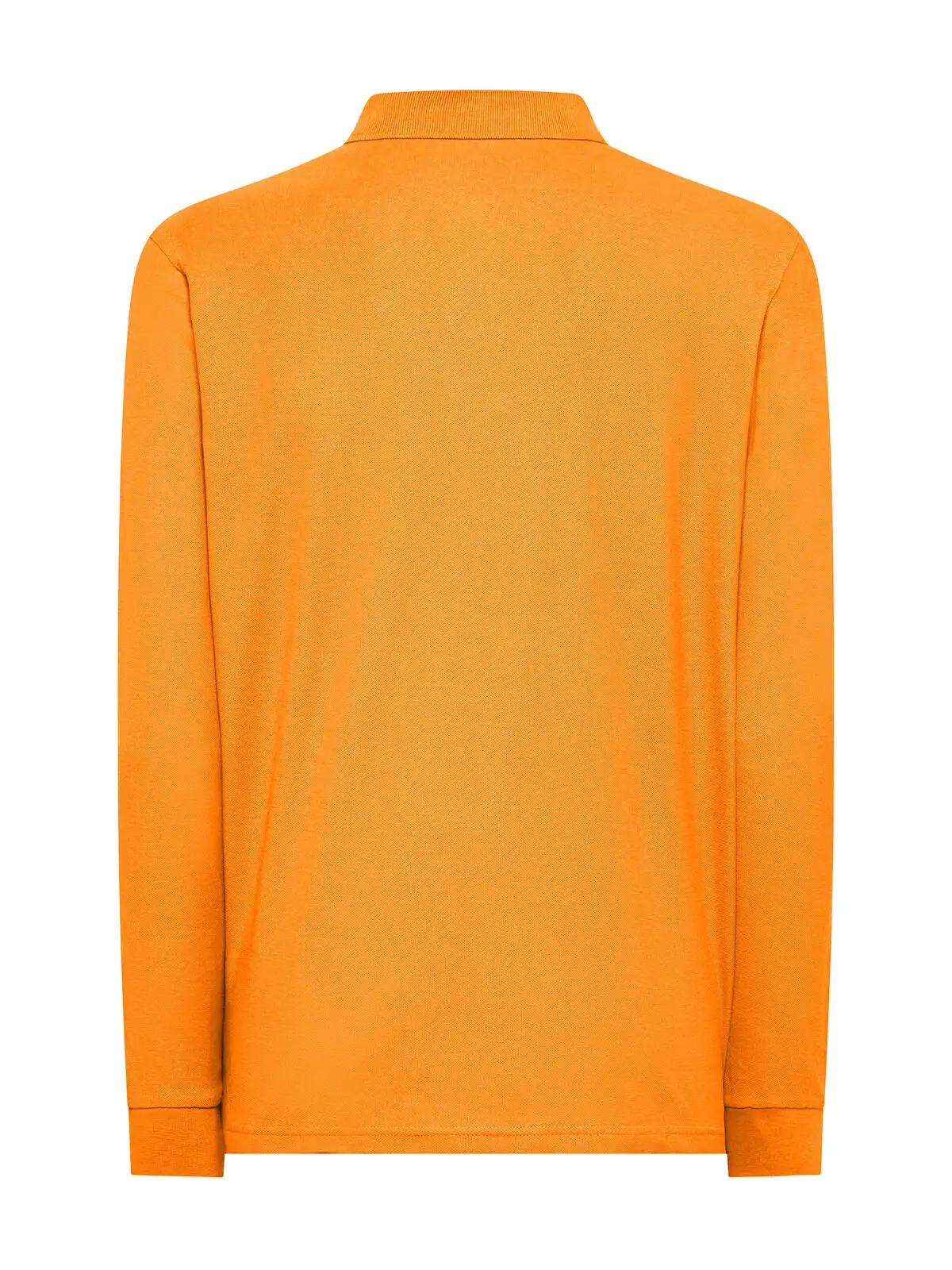 Immagine Evolution Polo LS