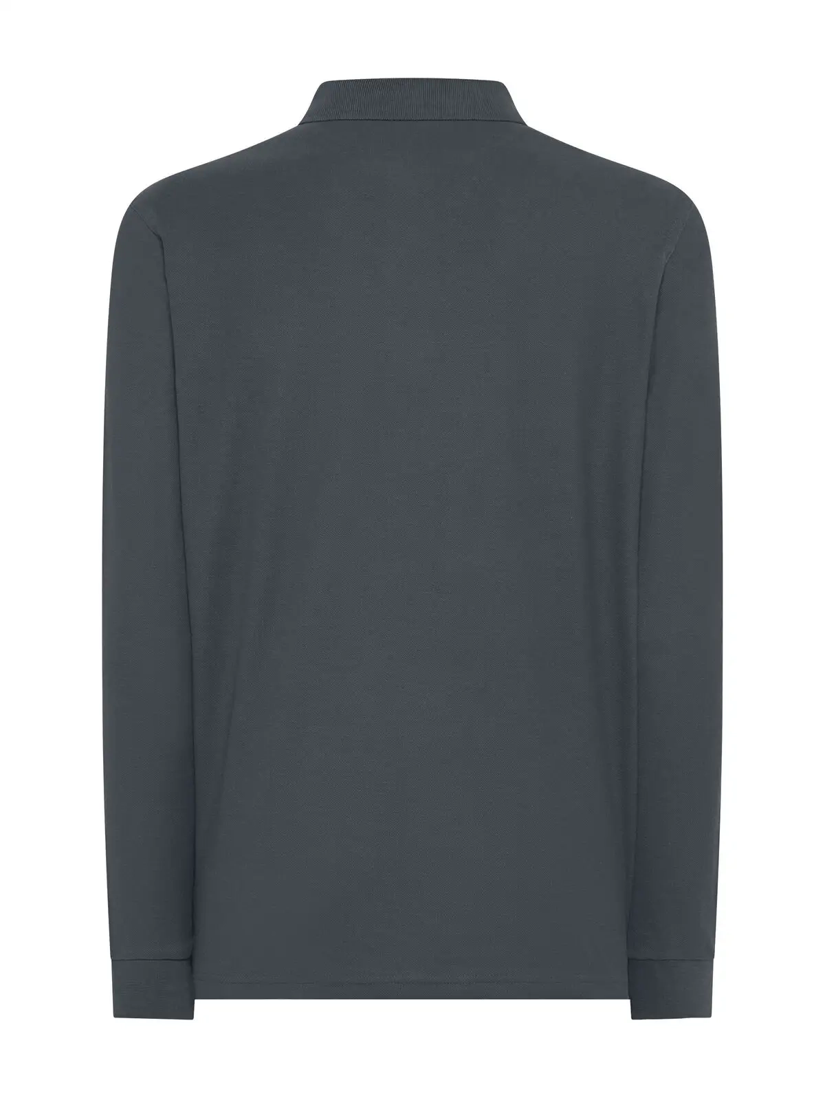 Immagine Evolution Polo LS