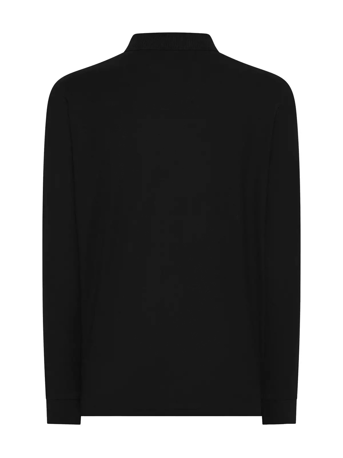 Immagine Evolution Polo LS