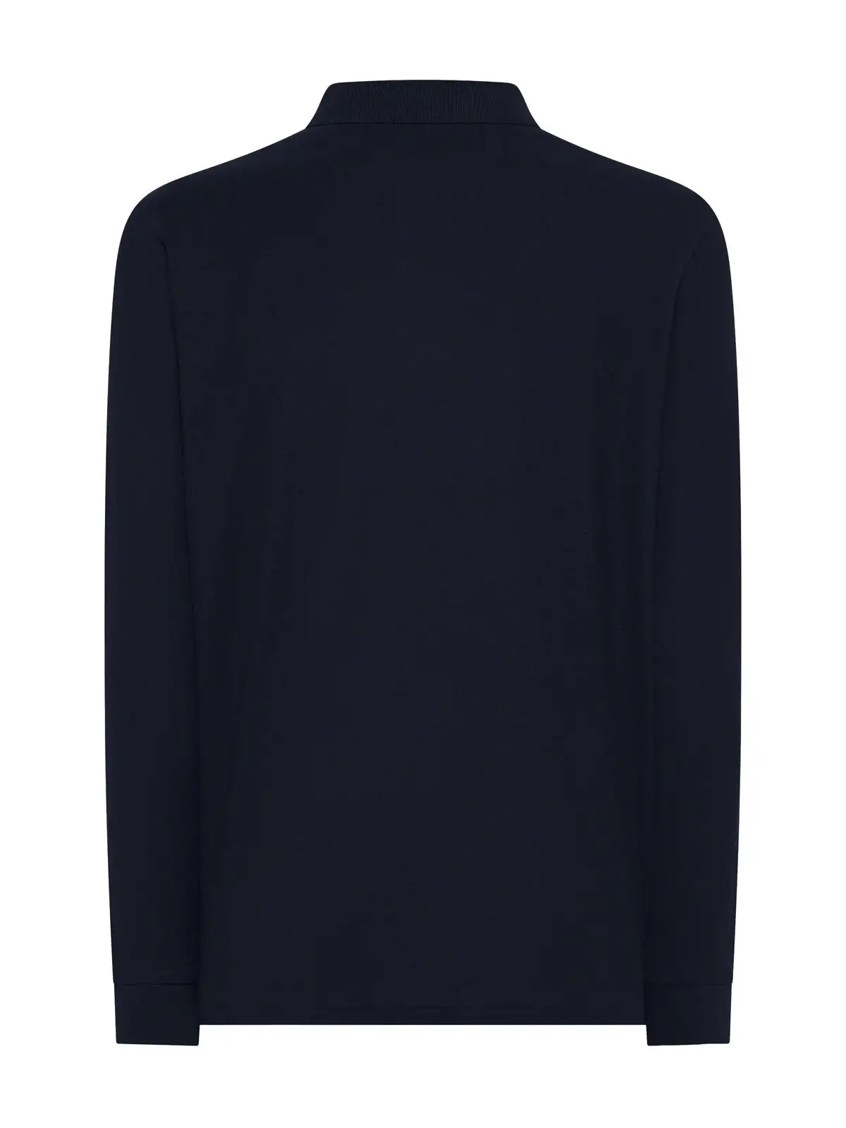 Immagine Evolution Polo LS