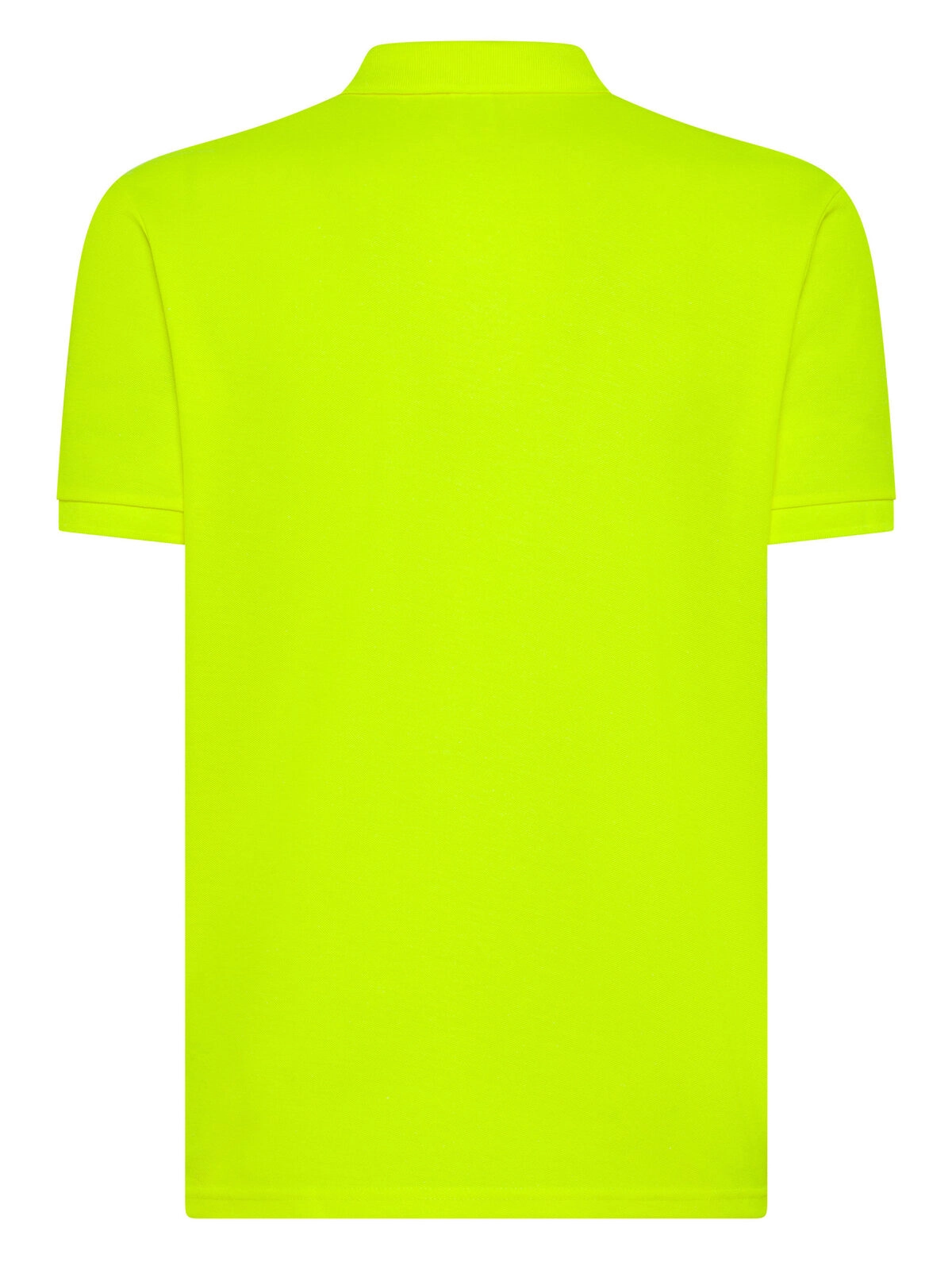 Immagine Evolution Polo