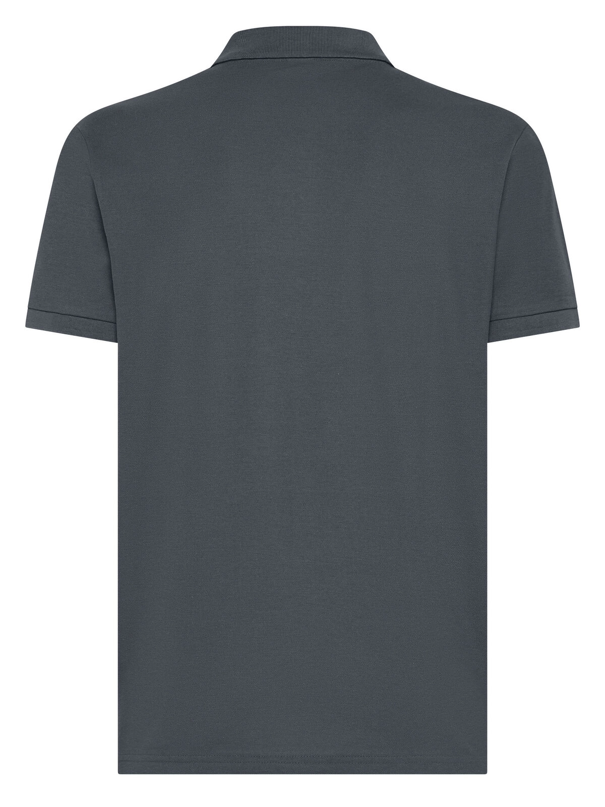 Immagine Evolution Polo