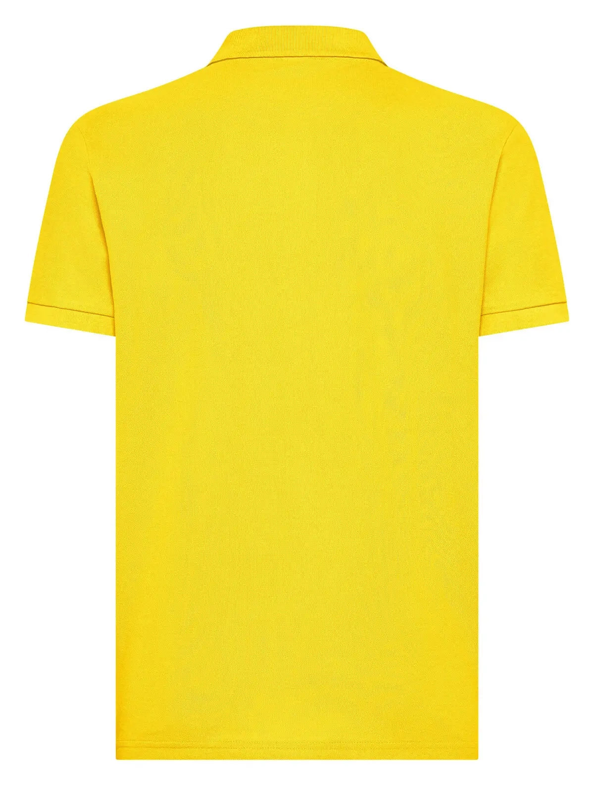 Immagine Evolution Polo