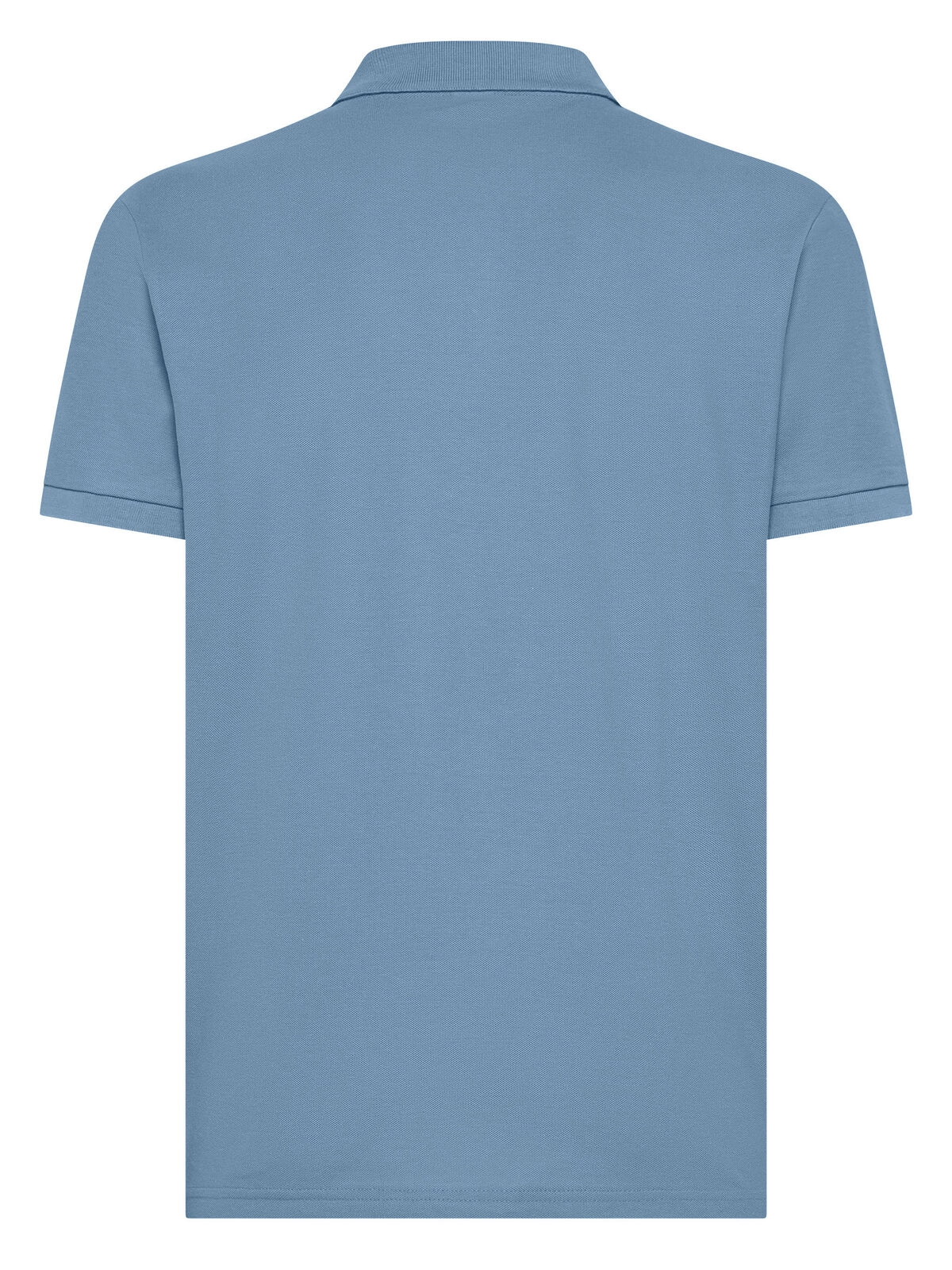 Immagine Evolution Polo