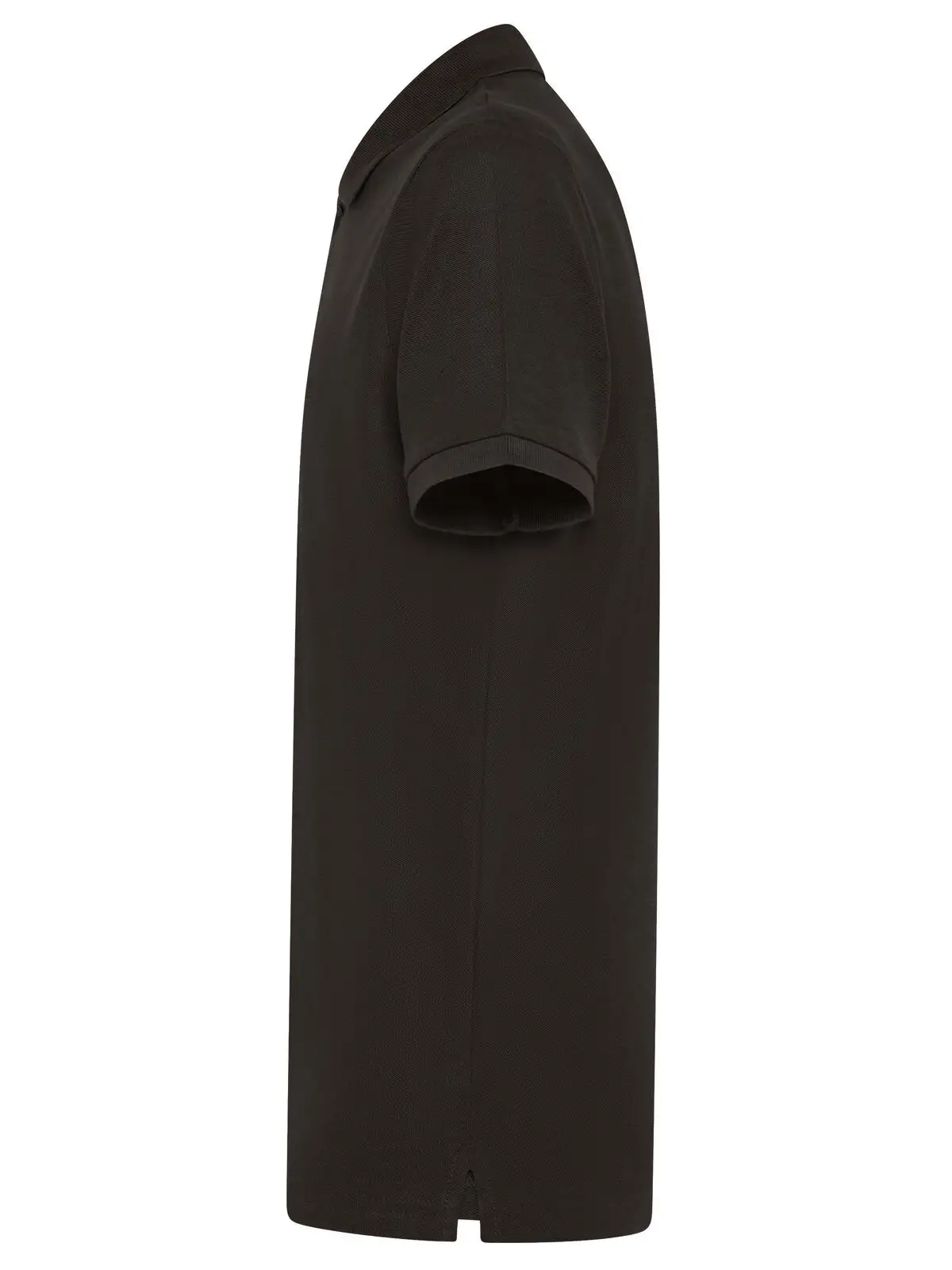 Immagine Evolution Polo