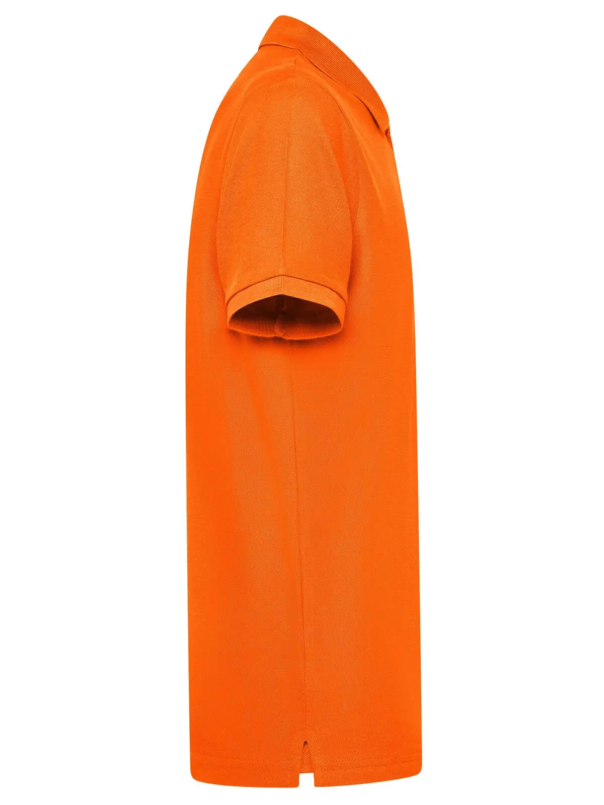 Immagine Evolution Polo