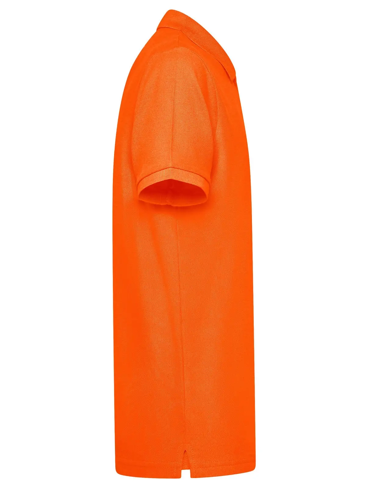 Immagine Evolution Polo