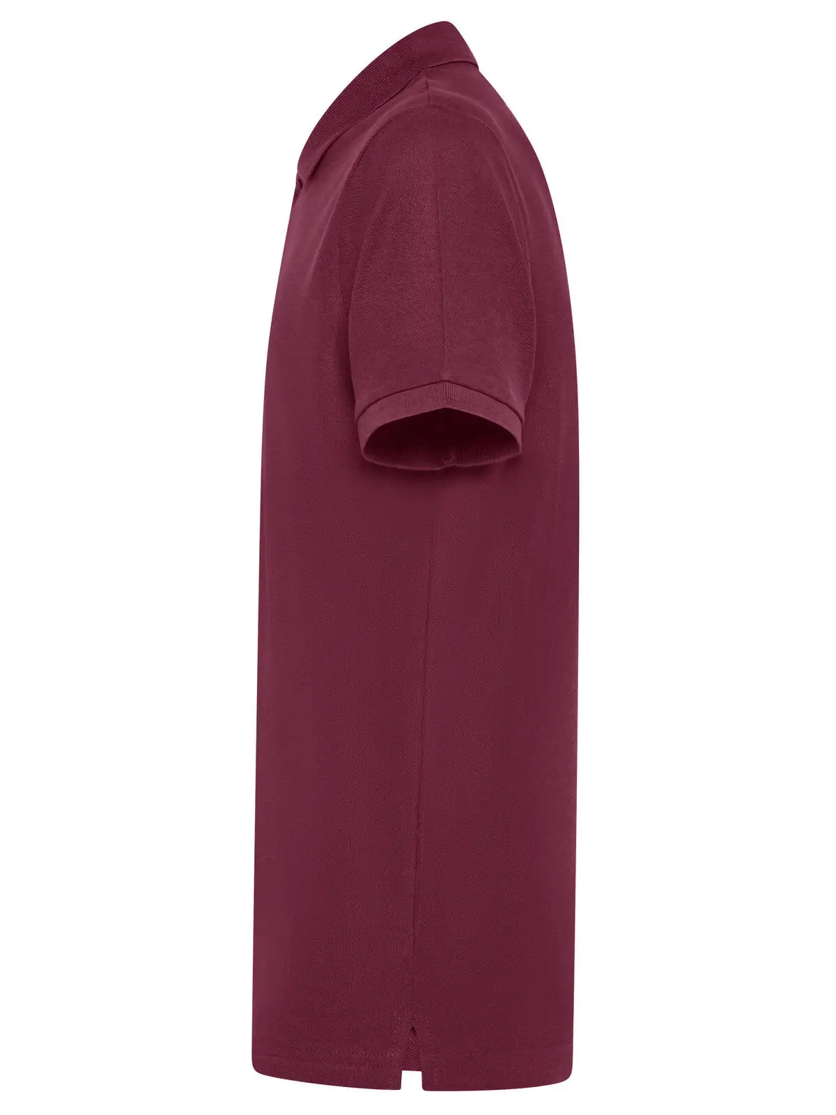 Immagine Evolution Polo