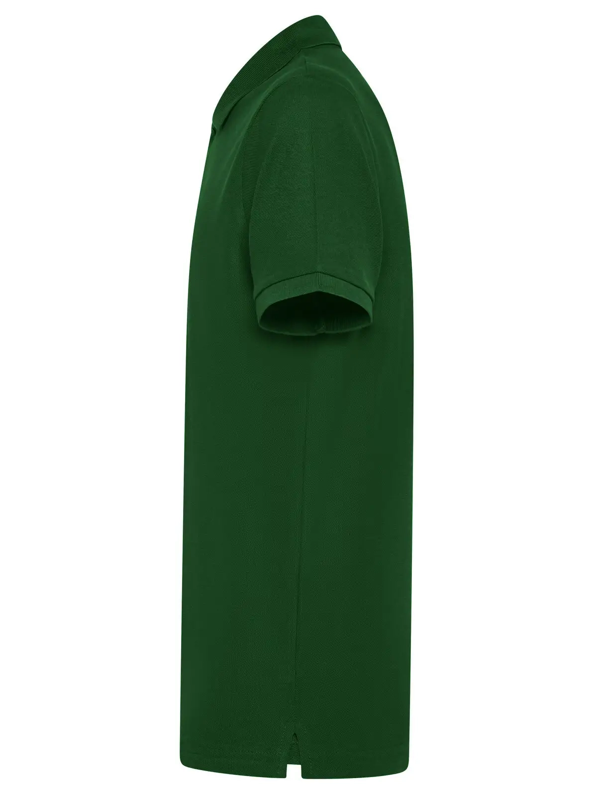 Immagine Evolution Polo