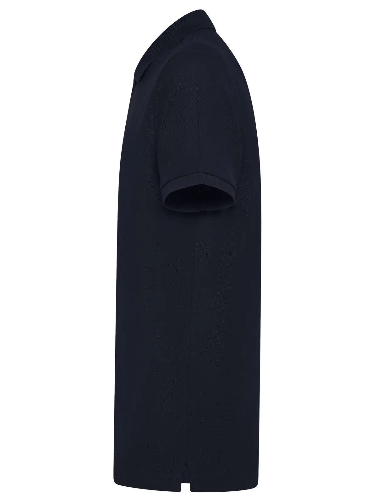 Immagine Evolution Polo