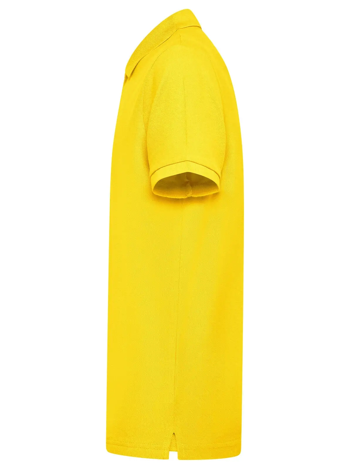 Immagine Evolution Polo