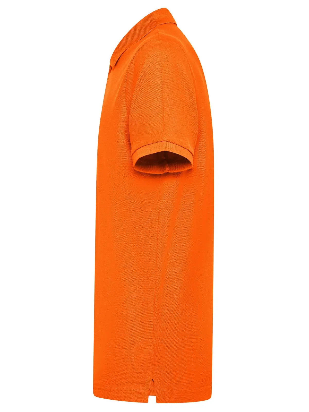 Immagine Evolution Polo