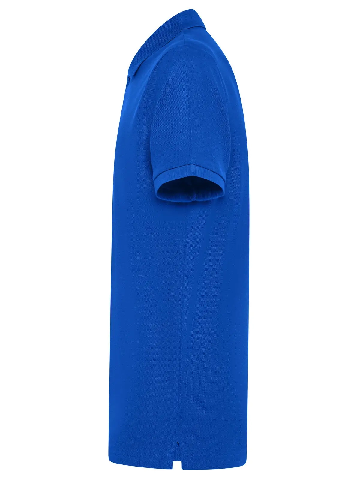 Immagine Evolution Polo