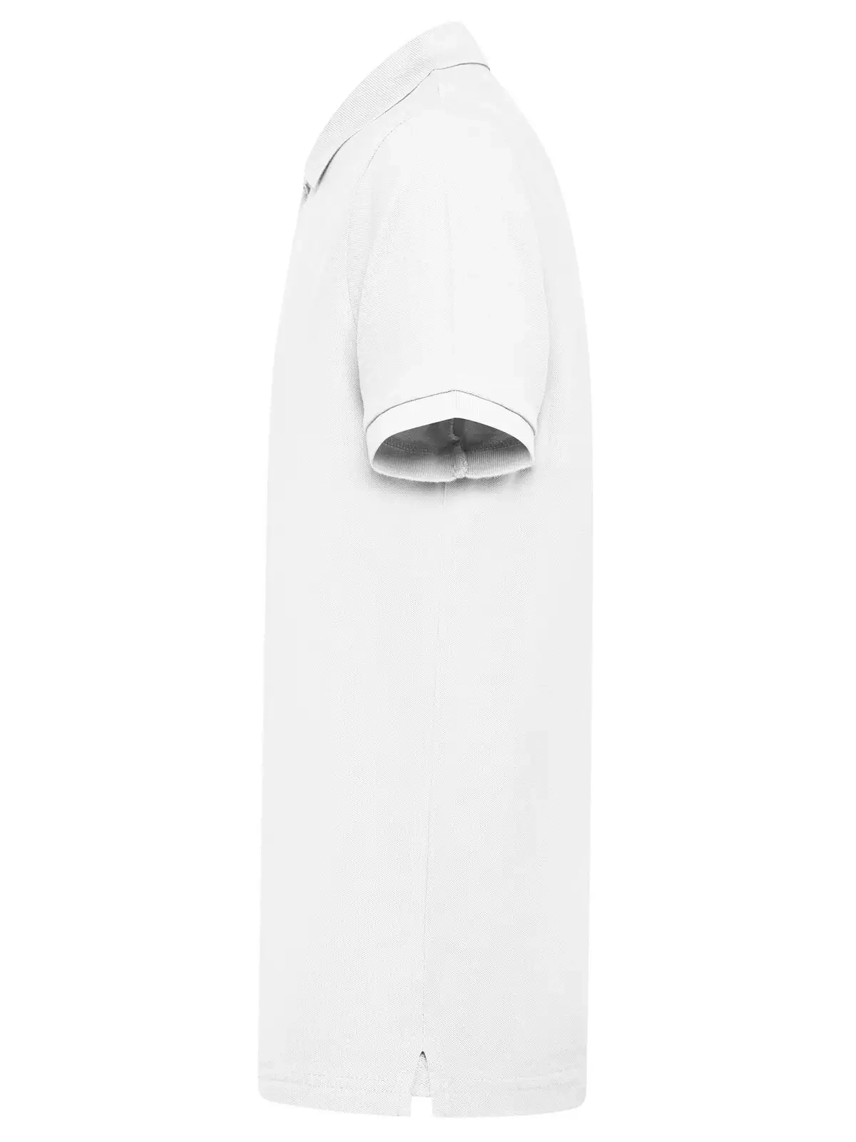 Immagine Evolution Polo