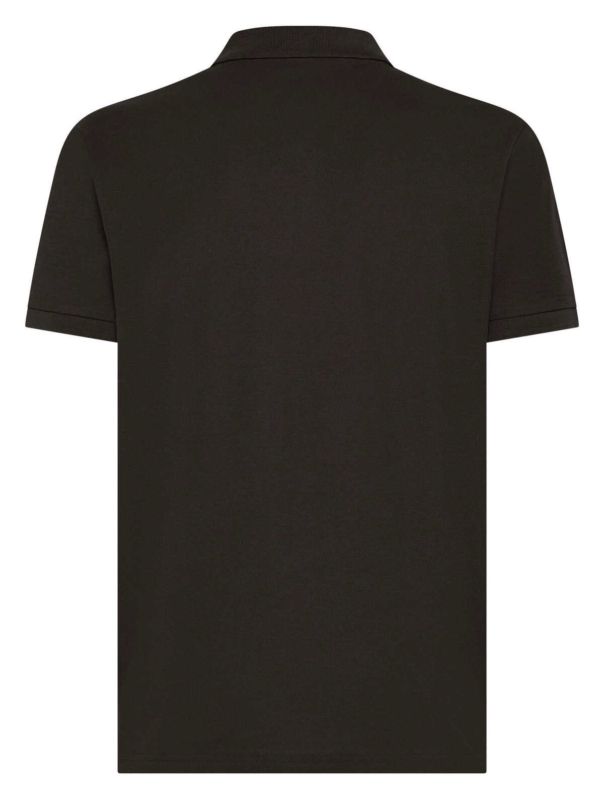 Immagine Evolution Polo