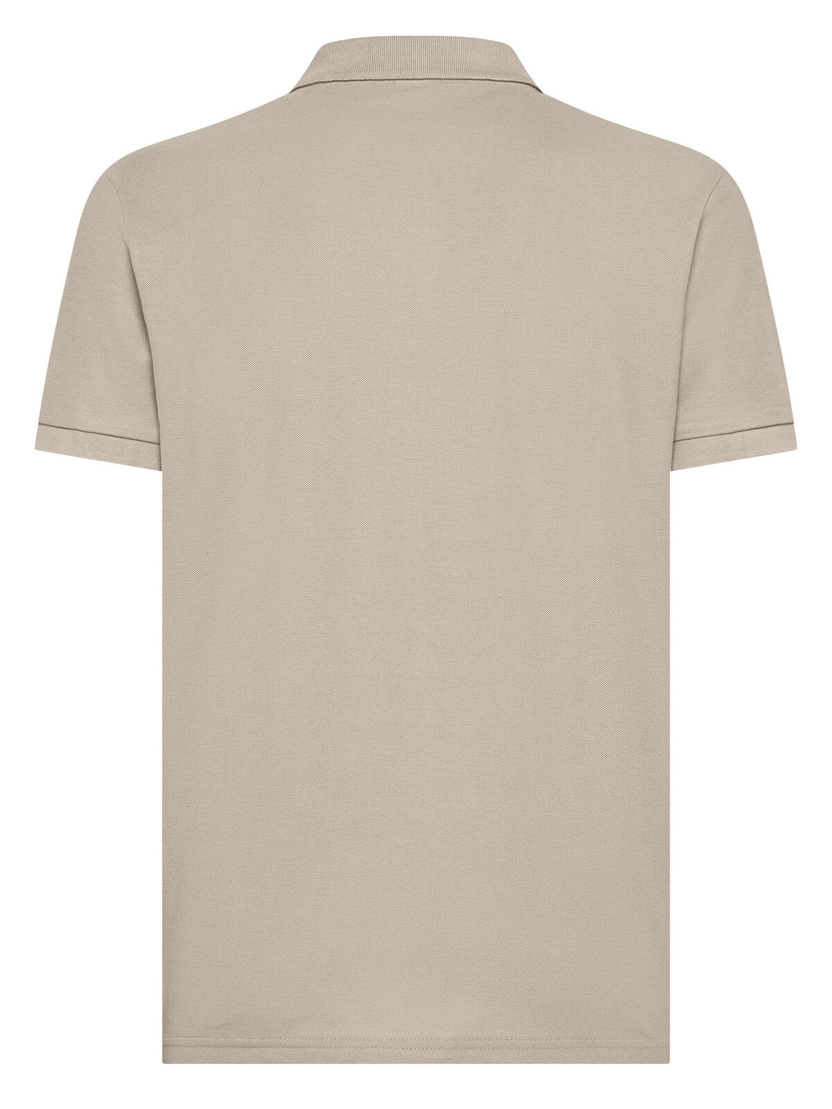 Immagine Evolution Polo