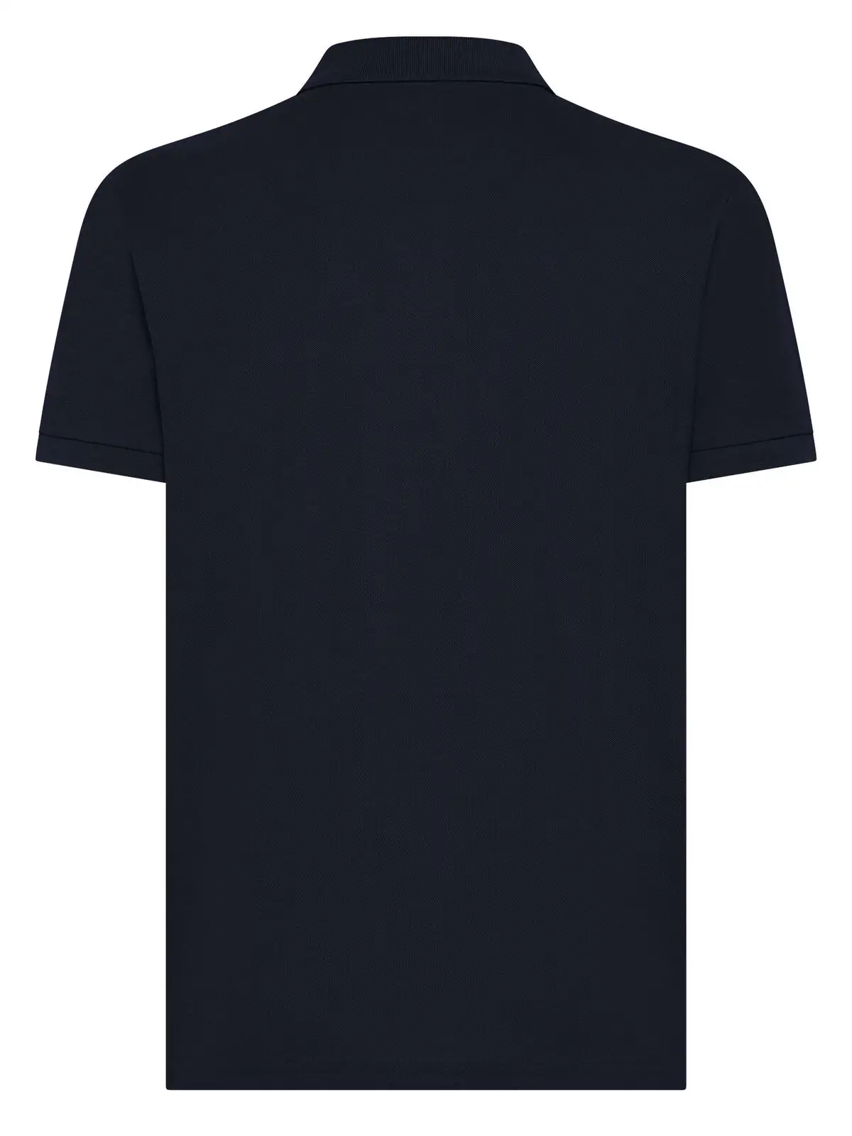 Immagine Evolution Polo