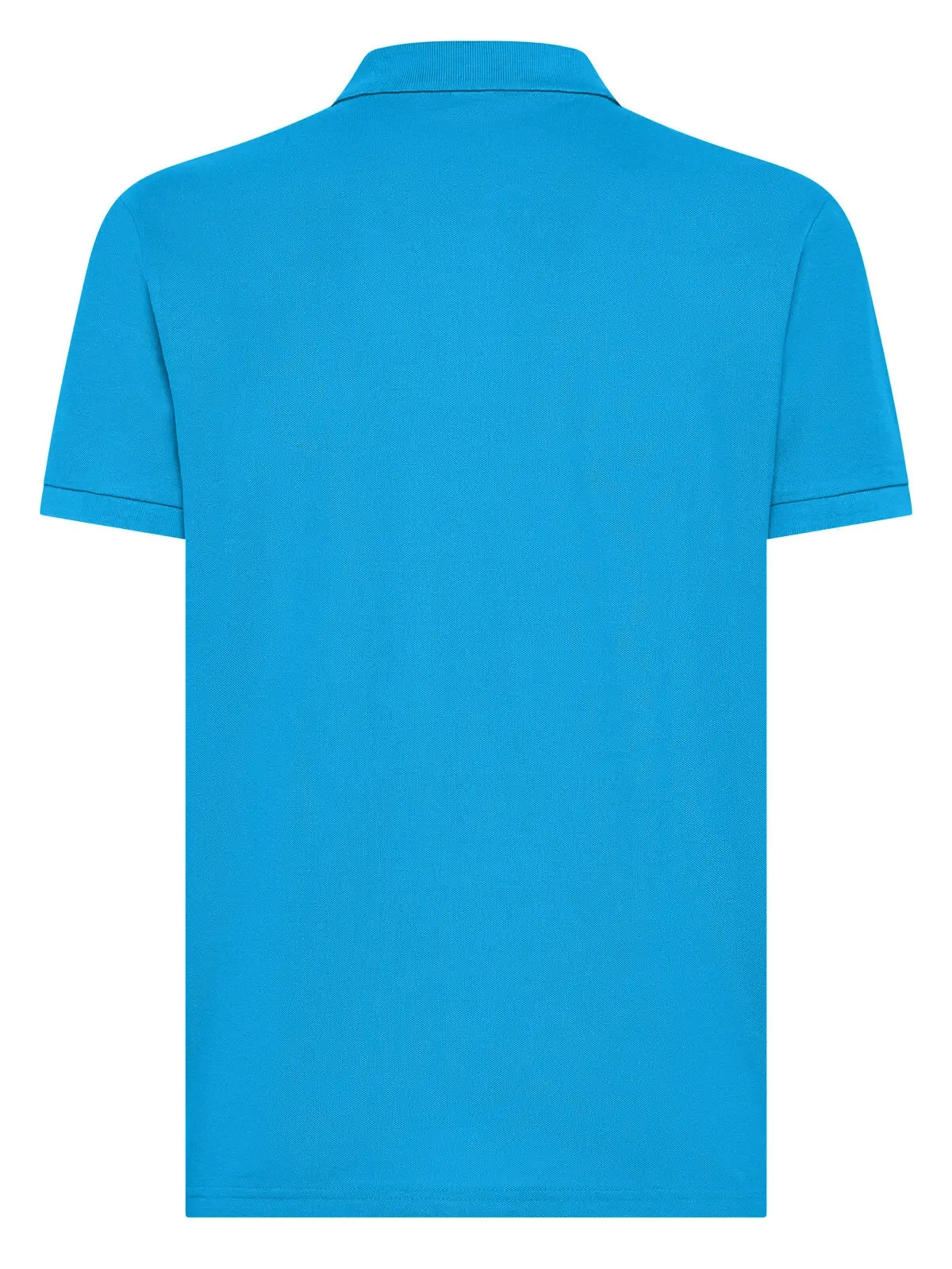 Immagine Evolution Polo