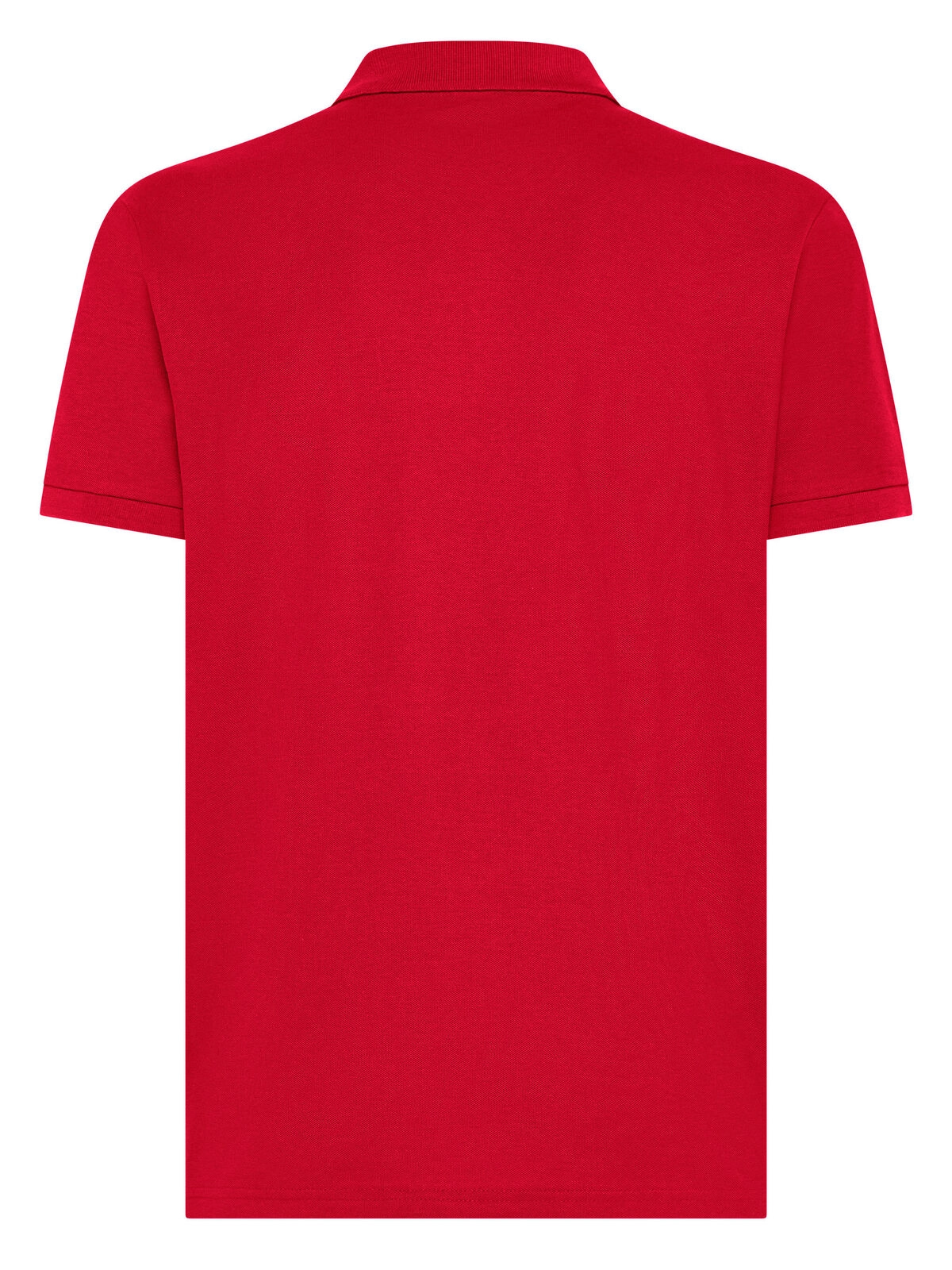 Immagine Evolution Polo