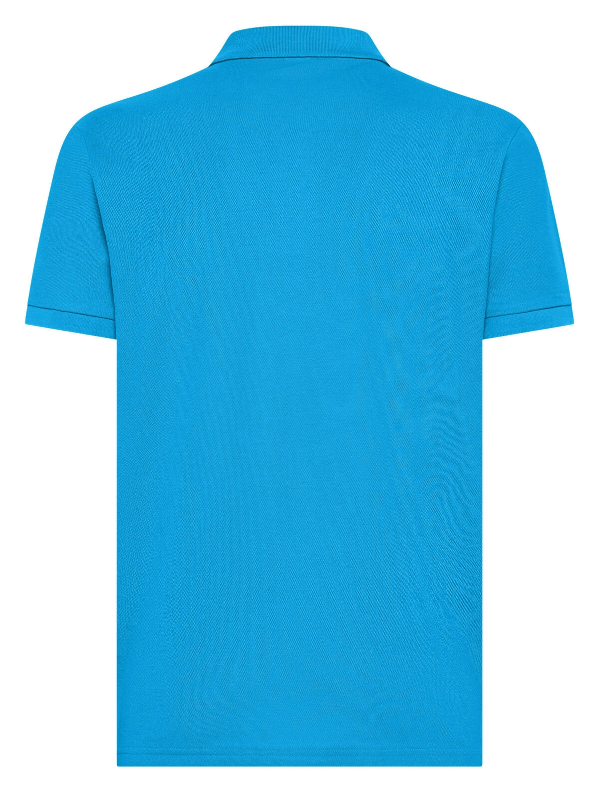 Immagine Evolution Polo