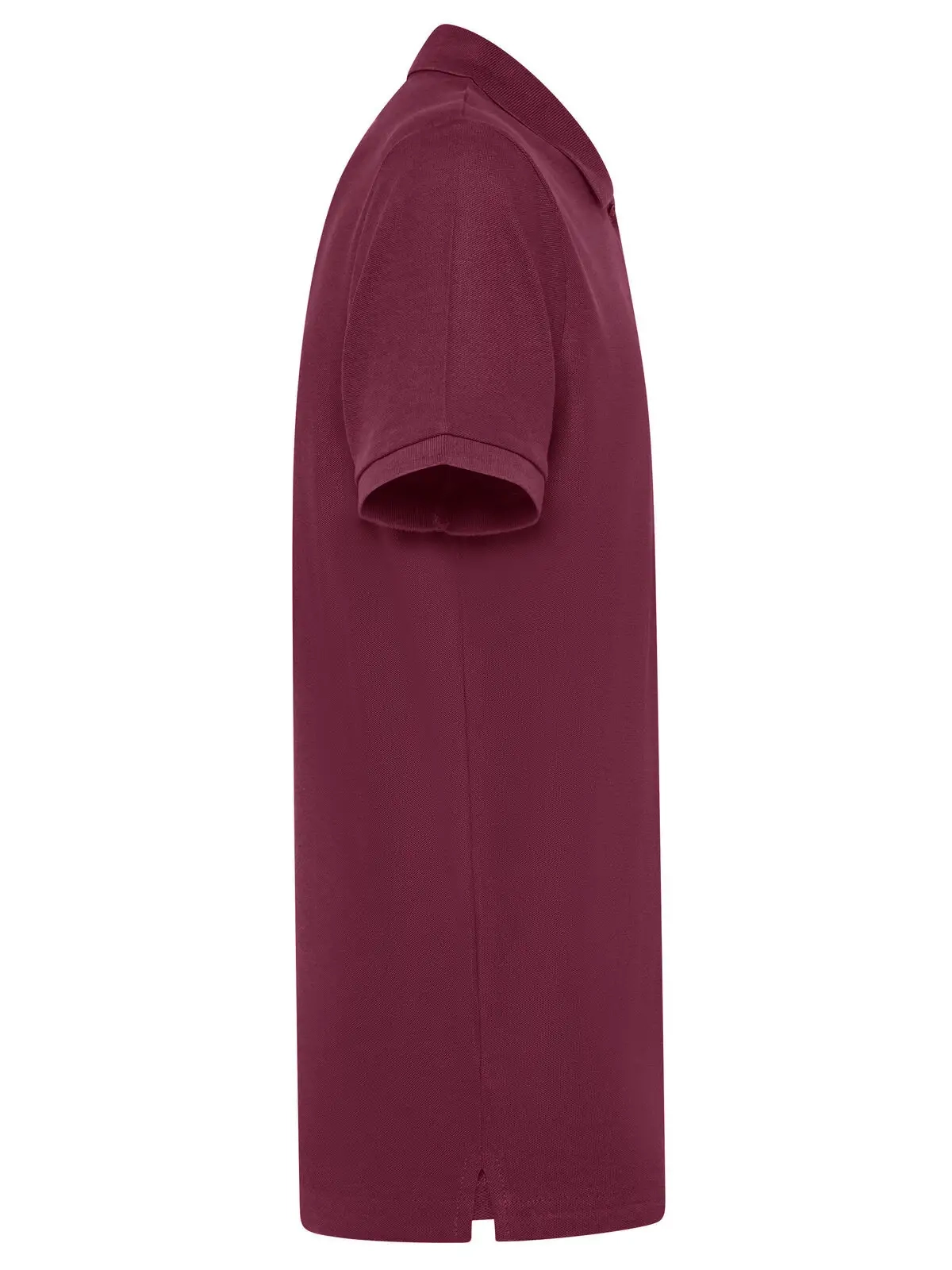 Immagine Evolution Polo